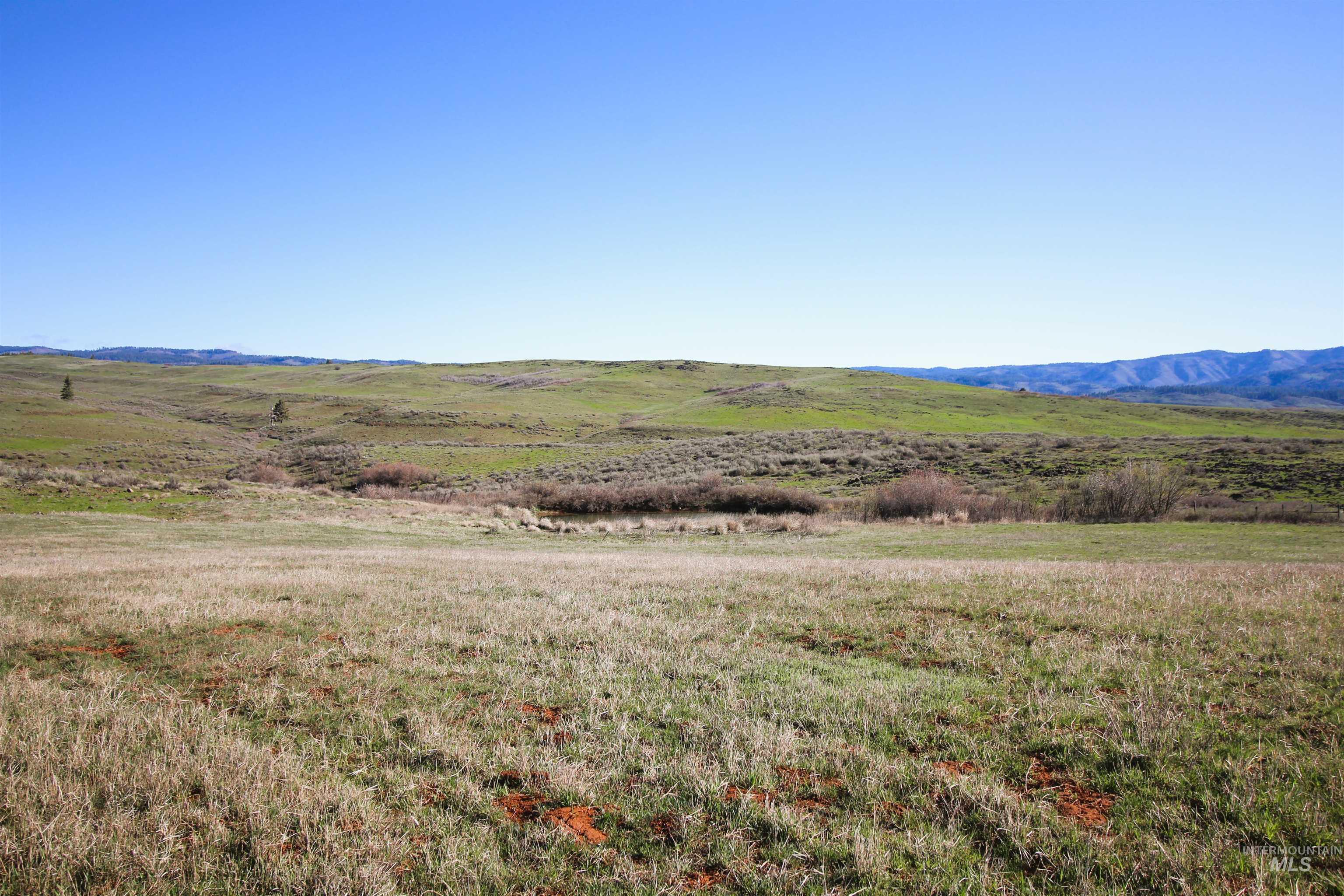 TBD N. Fork Ridge Rd., Council, Idaho 83612, Land For Sale, Price $315,000,MLS 98979446