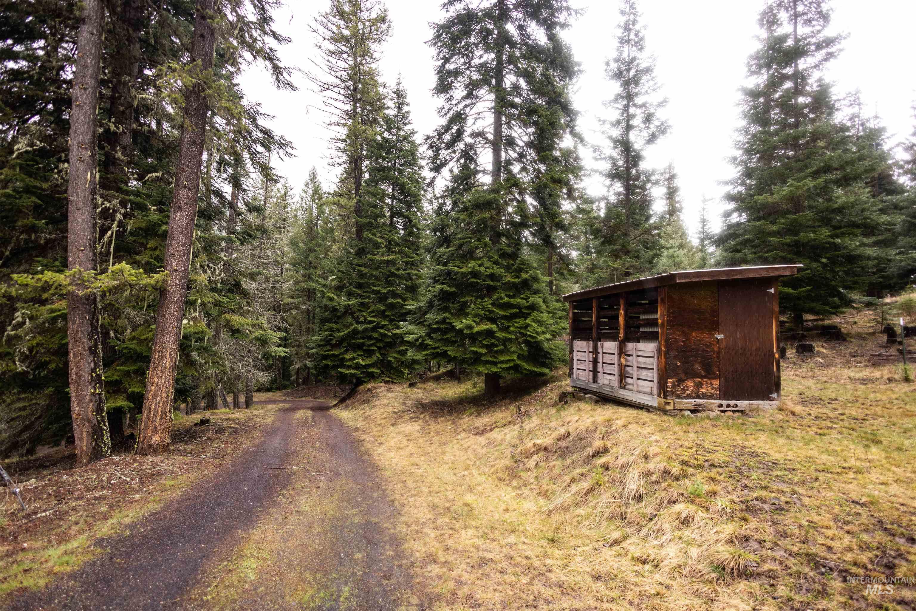 717 Big Cedar Road, Kooskia, Idaho 83539, 4 Bedrooms, 2 Bathrooms, Residential For Sale, Price $439,000,MLS 98979471