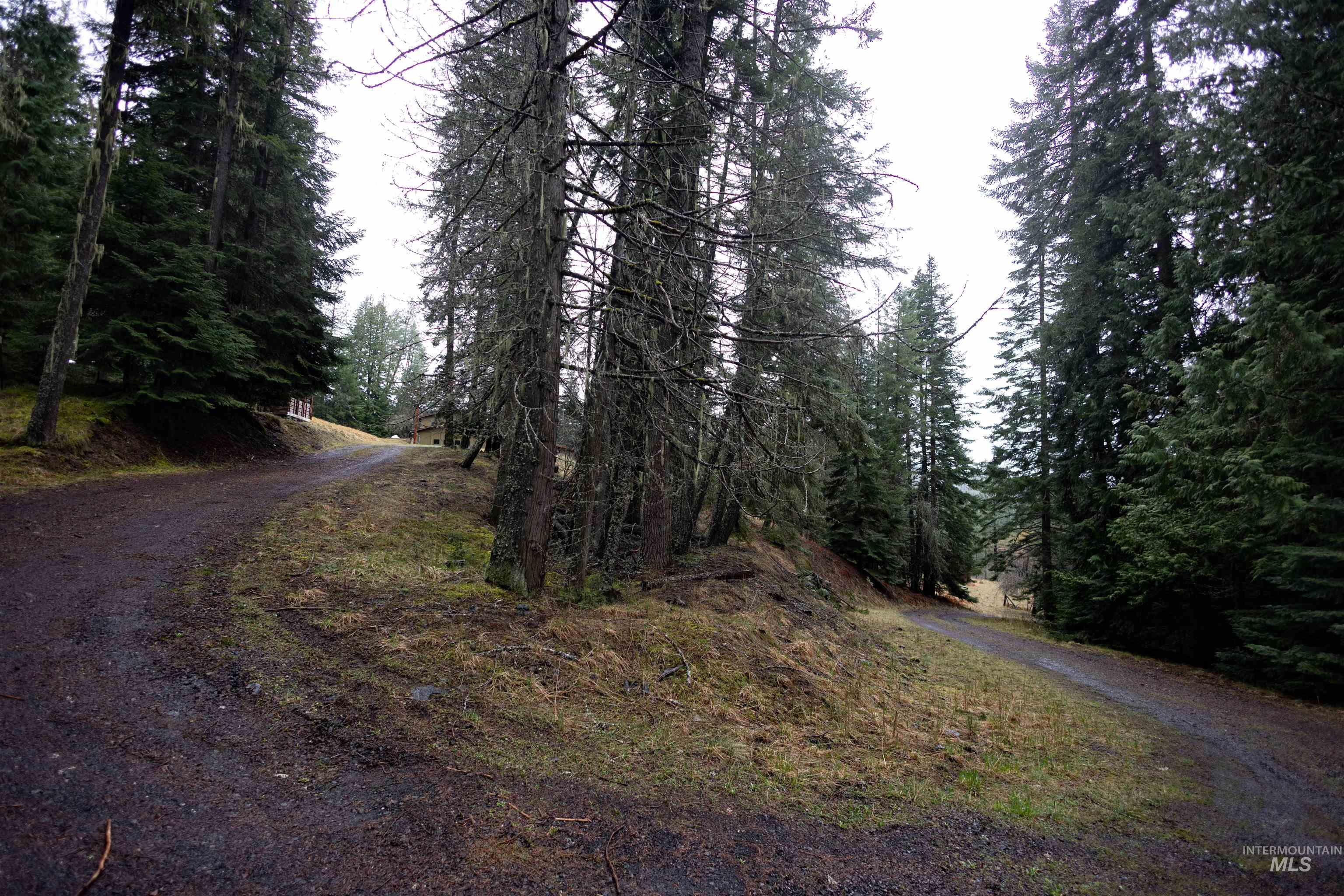 717 Big Cedar Road, Kooskia, Idaho 83539, 4 Bedrooms, 2 Bathrooms, Residential For Sale, Price $439,000,MLS 98979471