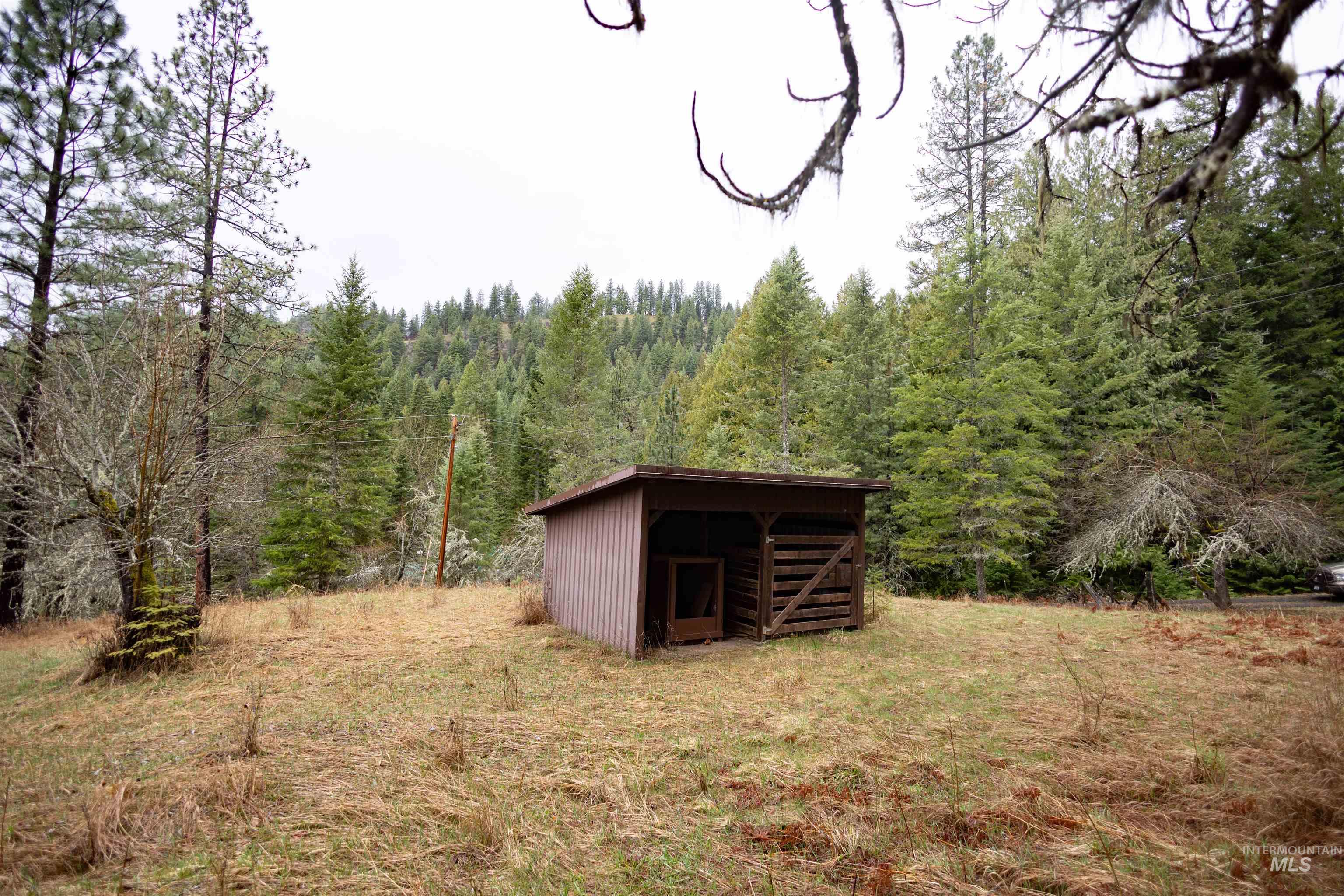 717 Big Cedar Road, Kooskia, Idaho 83539, 4 Bedrooms, 2 Bathrooms, Residential For Sale, Price $439,000,MLS 98979471