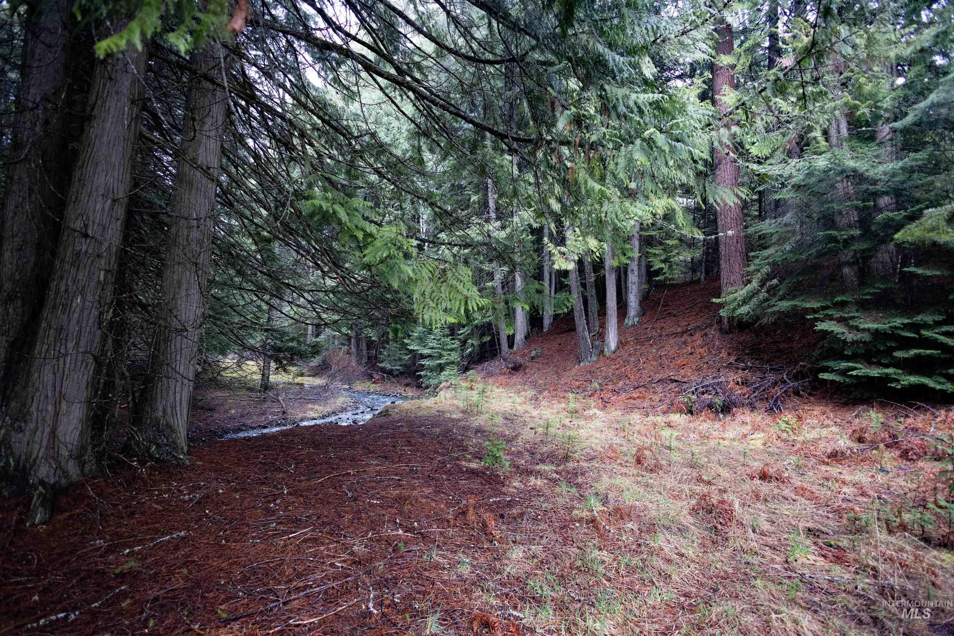 717 Big Cedar Road, Kooskia, Idaho 83539, 4 Bedrooms, 2 Bathrooms, Residential For Sale, Price $439,000,MLS 98979471