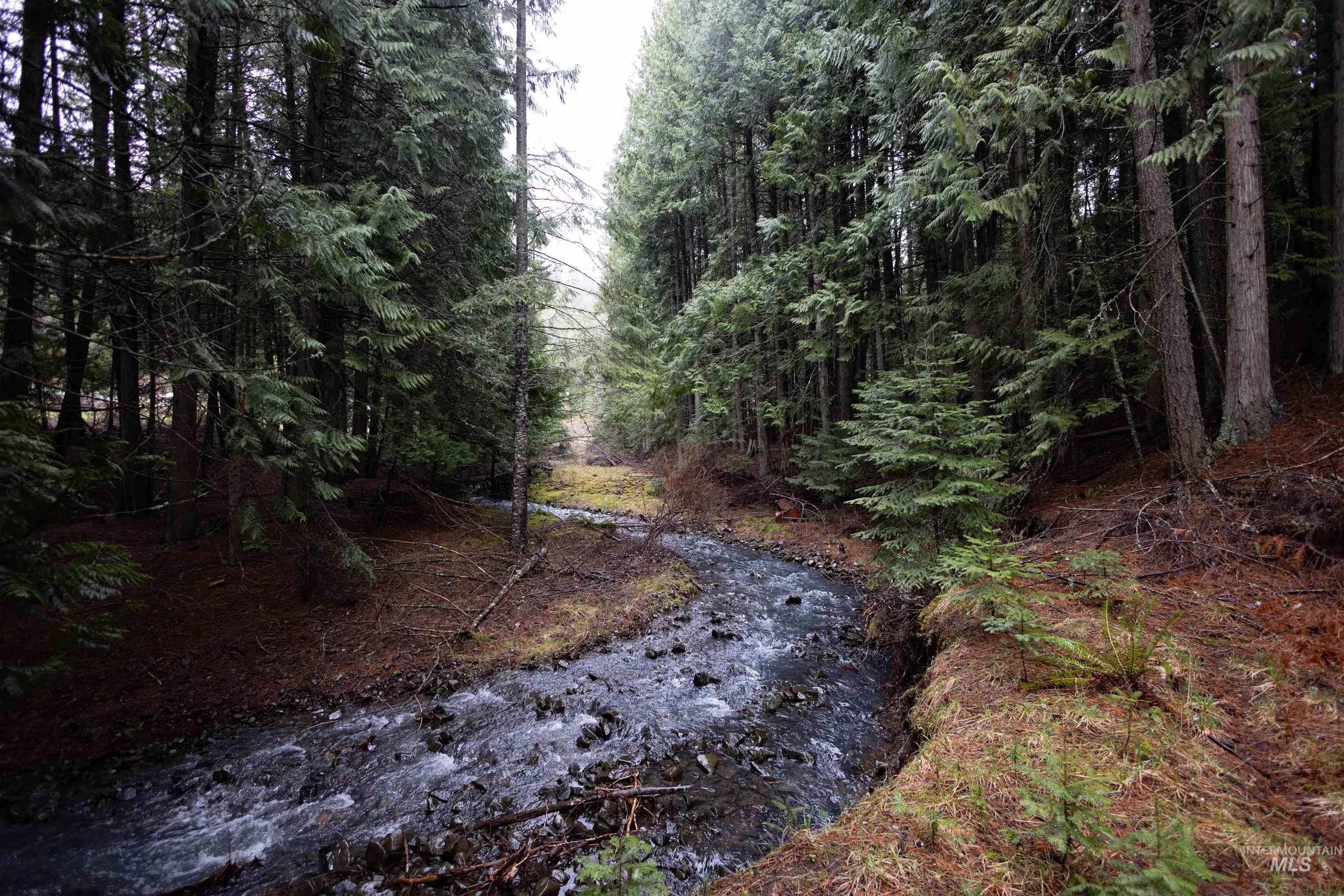 717 Big Cedar Road, Kooskia, Idaho 83539, 4 Bedrooms, 2 Bathrooms, Residential For Sale, Price $439,000,MLS 98979471