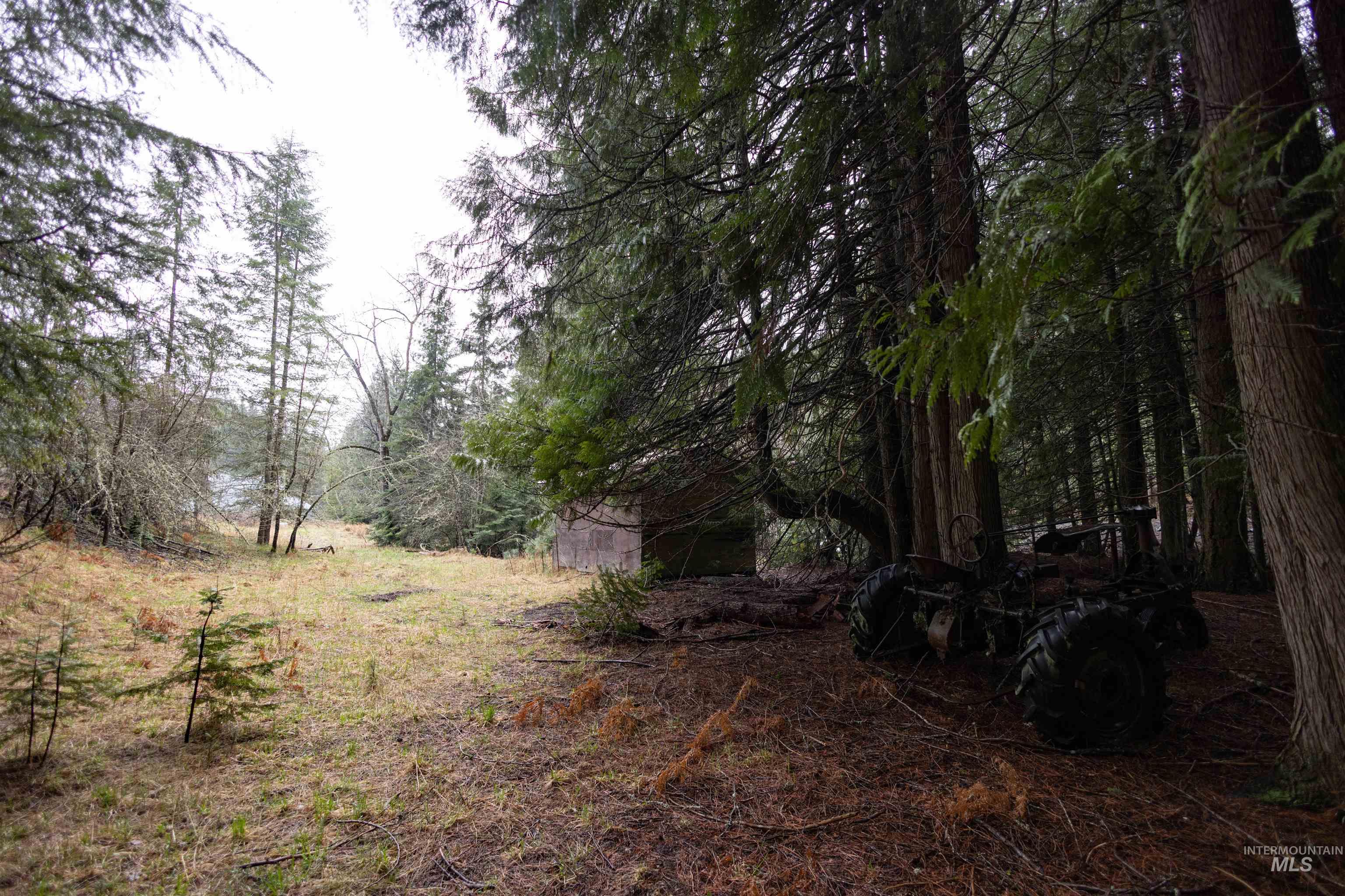 717 Big Cedar Road, Kooskia, Idaho 83539, 4 Bedrooms, 2 Bathrooms, Residential For Sale, Price $439,000,MLS 98979471