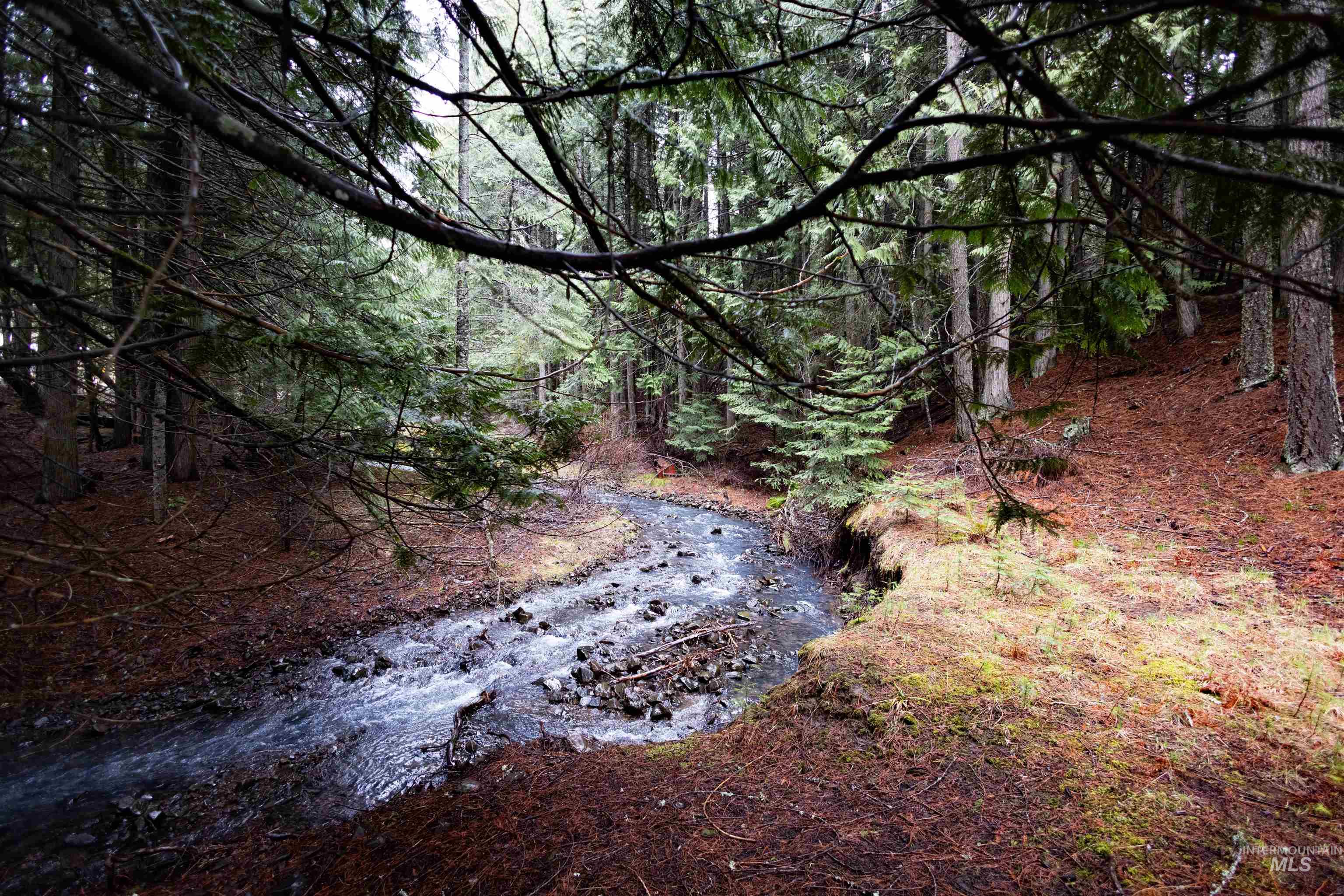 717 Big Cedar Road, Kooskia, Idaho 83539, 4 Bedrooms, 2 Bathrooms, Residential For Sale, Price $439,000,MLS 98979471