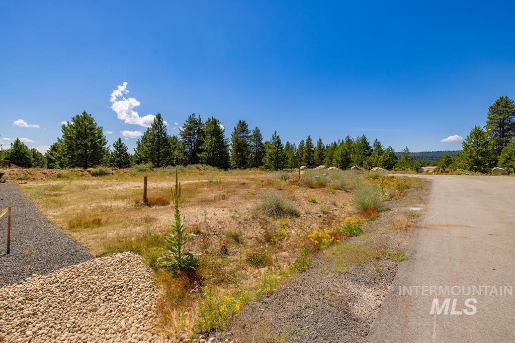110 Bighorn Court, McCall, Idaho 83638-9999, Land For Sale, Price $189,000, 98979514