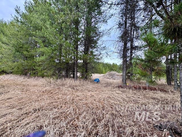 678 Highvalley Rd, Cascade, Idaho 83611, Land For Sale, Price $220,000, 98979516