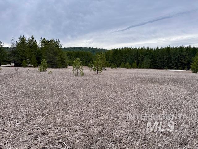 678 Highvalley Rd, Cascade, Idaho 83611, Land For Sale, Price $220,000, 98979516