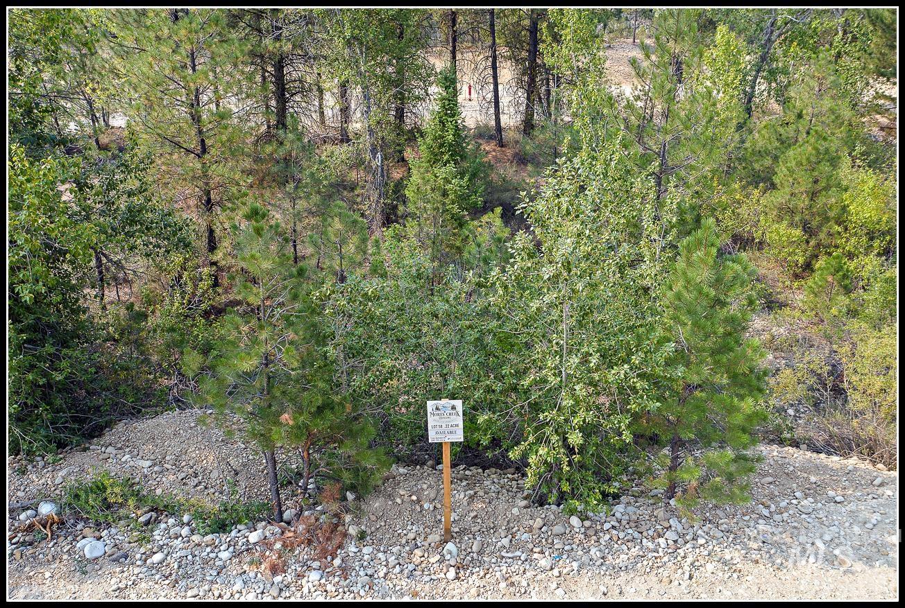 Lot 58 Mores Creek Dr, Idaho City, Idaho 83631, Land For Sale, Price $83,990,MLS 98979527