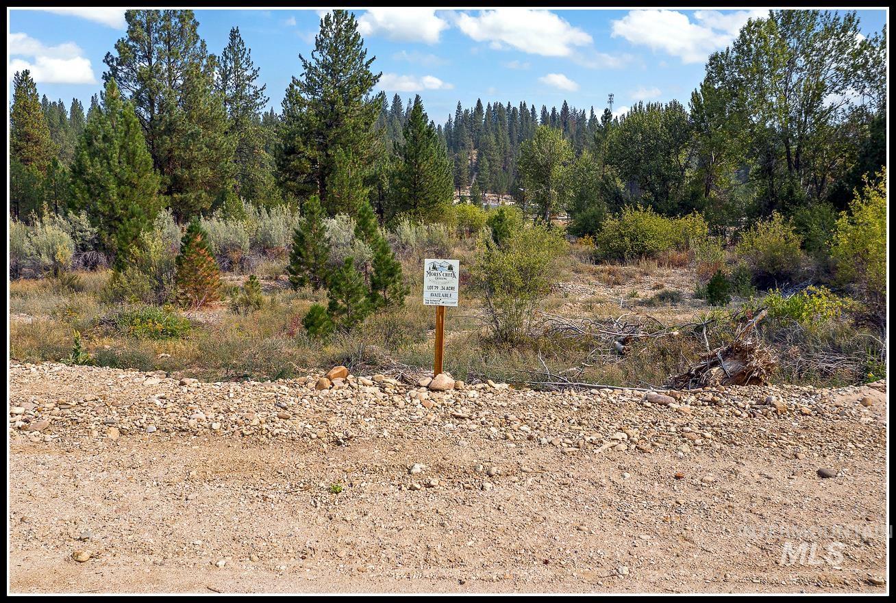 Lot 79 Lainey Lane, Idaho City, Idaho 83631, Land For Sale, Price $91,990,MLS 98979534