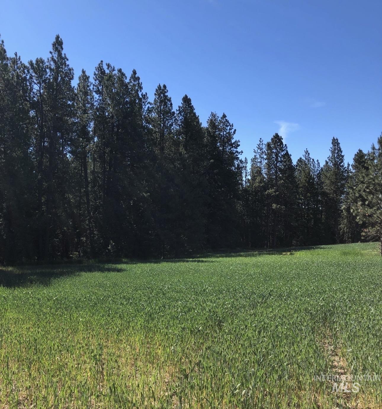 TBD SANDHILL RD, Winchester, Idaho 83555, Land For Sale, Price $259,000,MLS 98979540