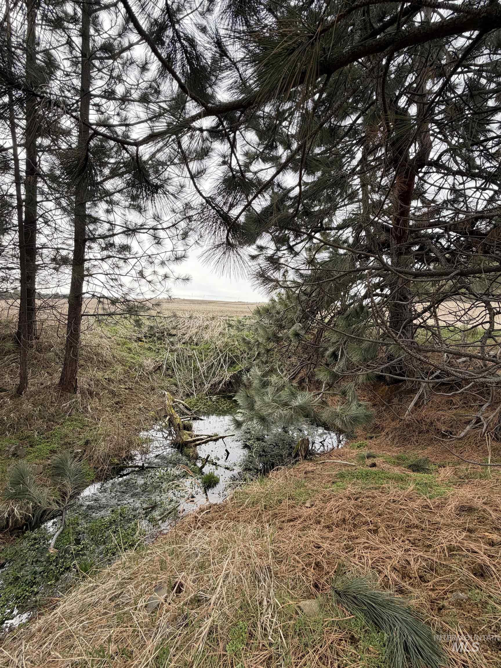 TBD SANDHILL RD, Winchester, Idaho 83555, Land For Sale, Price $259,000,MLS 98979540