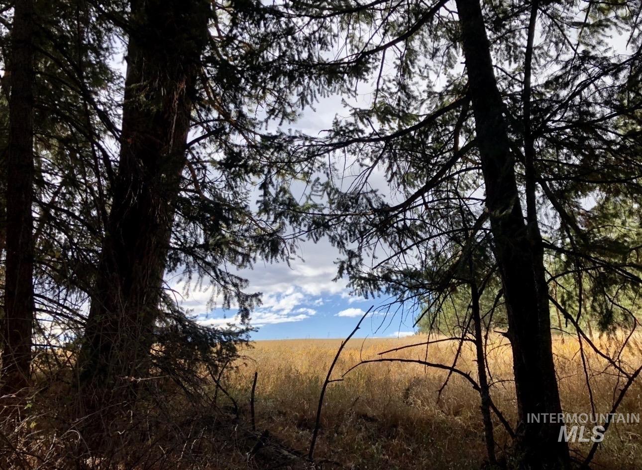 TBD SANDHILL RD, Winchester, Idaho 83555, Land For Sale, Price $265,000,MLS 98979540