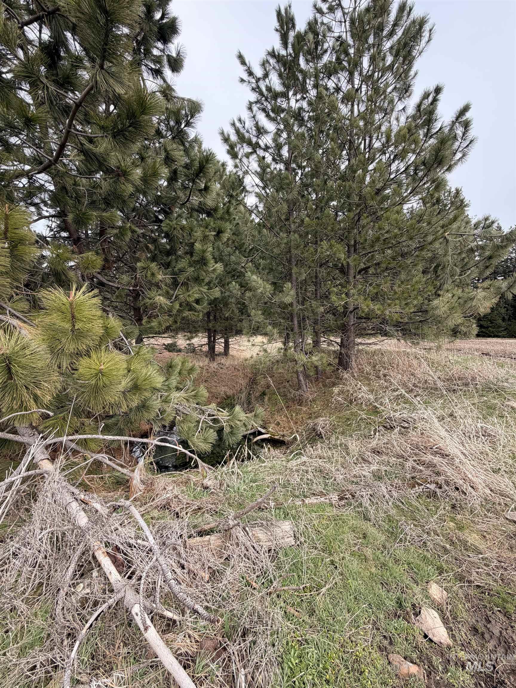 TBD SANDHILL RD, Winchester, Idaho 83555, Land For Sale, Price $265,000,MLS 98979540