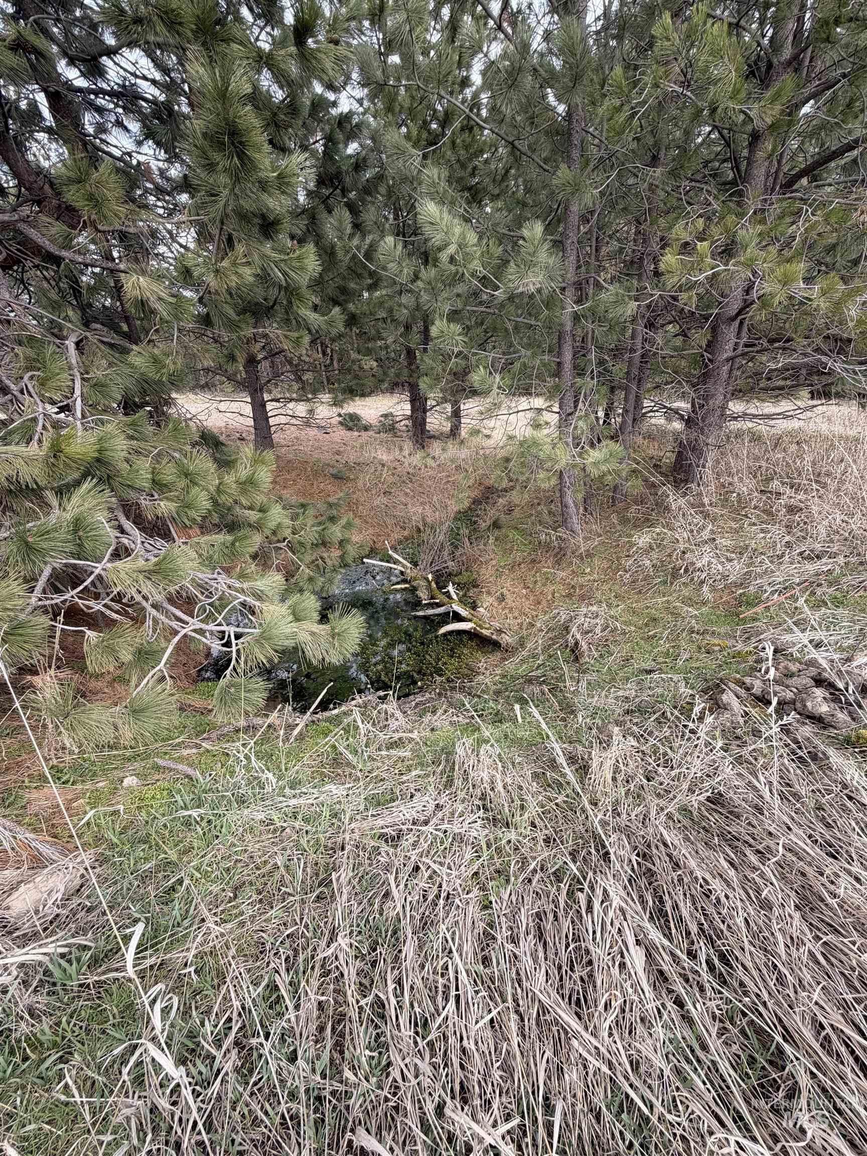 TBD SANDHILL RD, Winchester, Idaho 83555, Land For Sale, Price $265,000,MLS 98979540