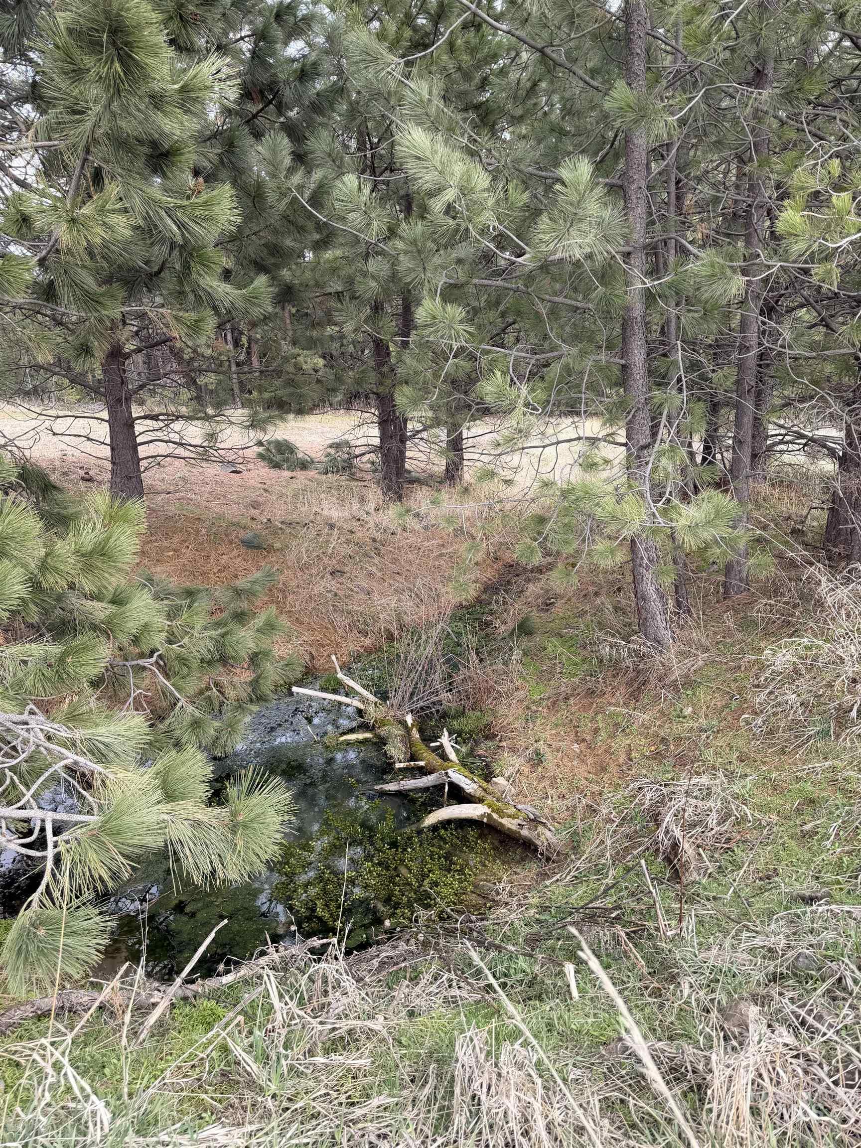 TBD SANDHILL RD, Winchester, Idaho 83555, Land For Sale, Price $265,000,MLS 98979540