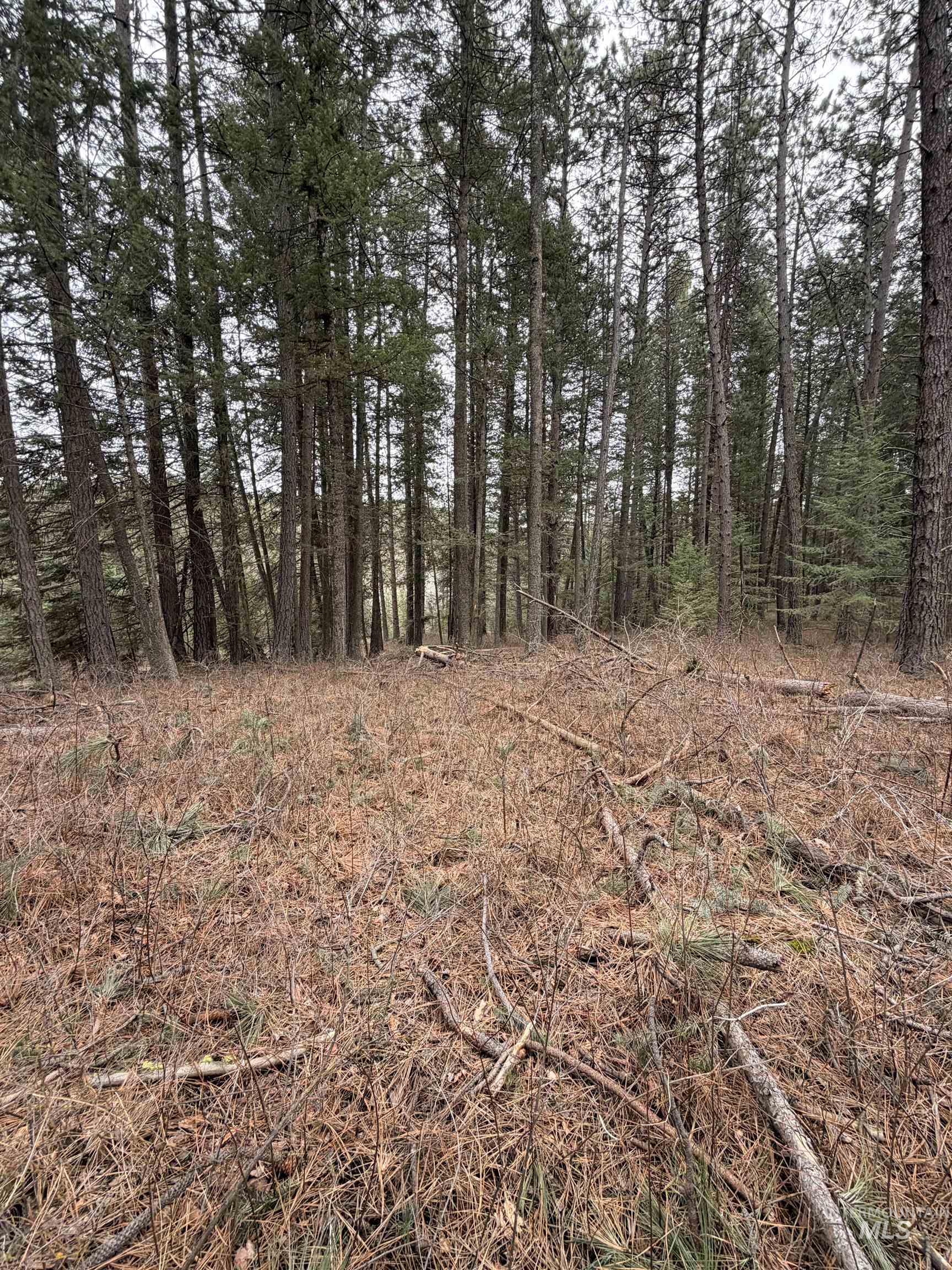 TBD SANDHILL RD, Winchester, Idaho 83555, Land For Sale, Price $265,000,MLS 98979540