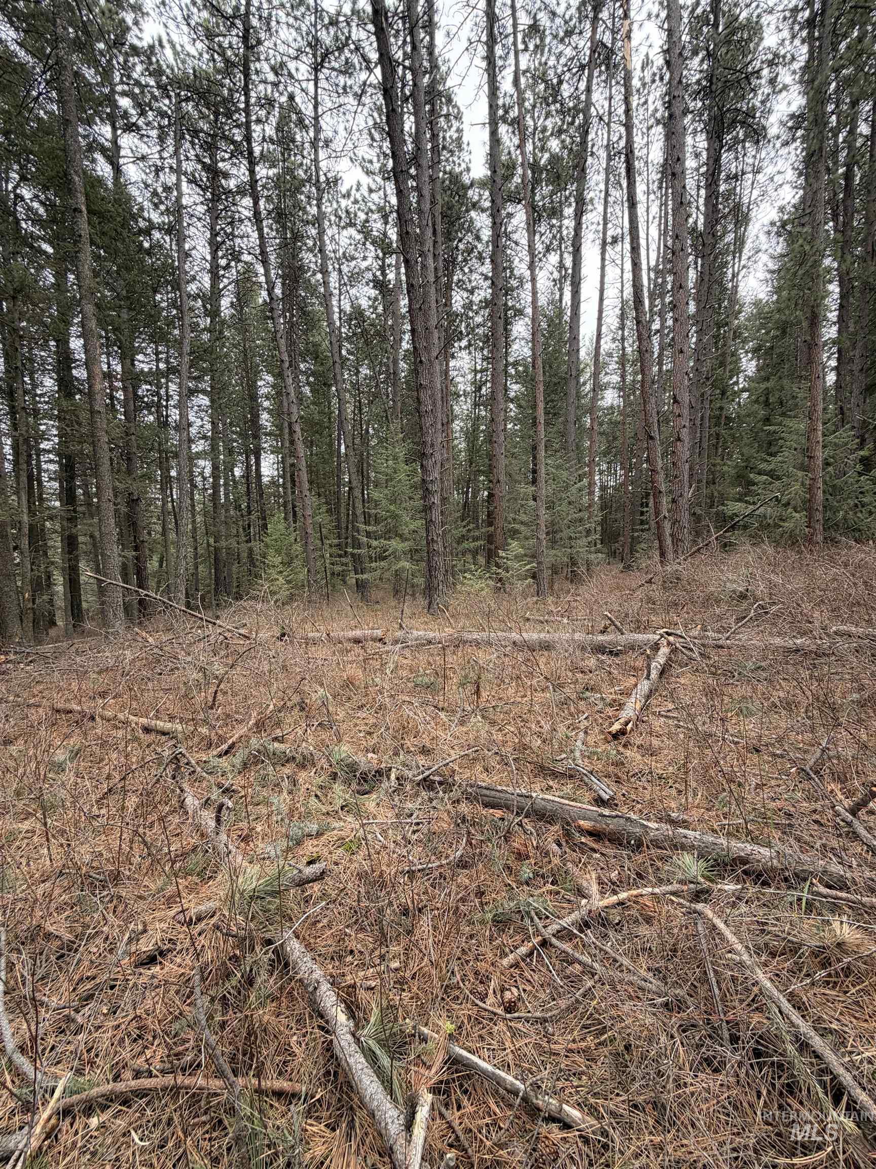 TBD SANDHILL RD, Winchester, Idaho 83555, Land For Sale, Price $265,000,MLS 98979540