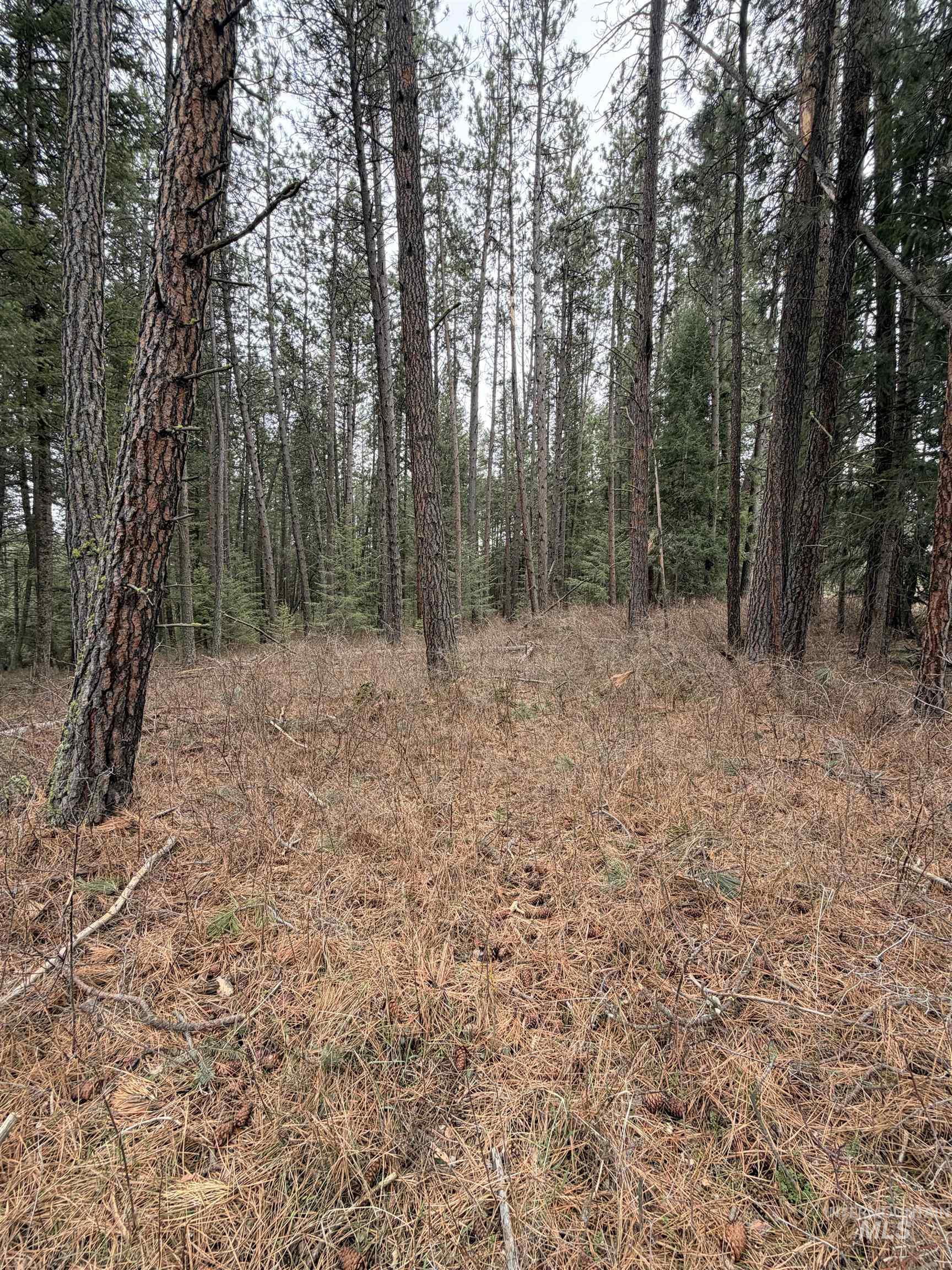 TBD SANDHILL RD, Winchester, Idaho 83555, Land For Sale, Price $265,000,MLS 98979540