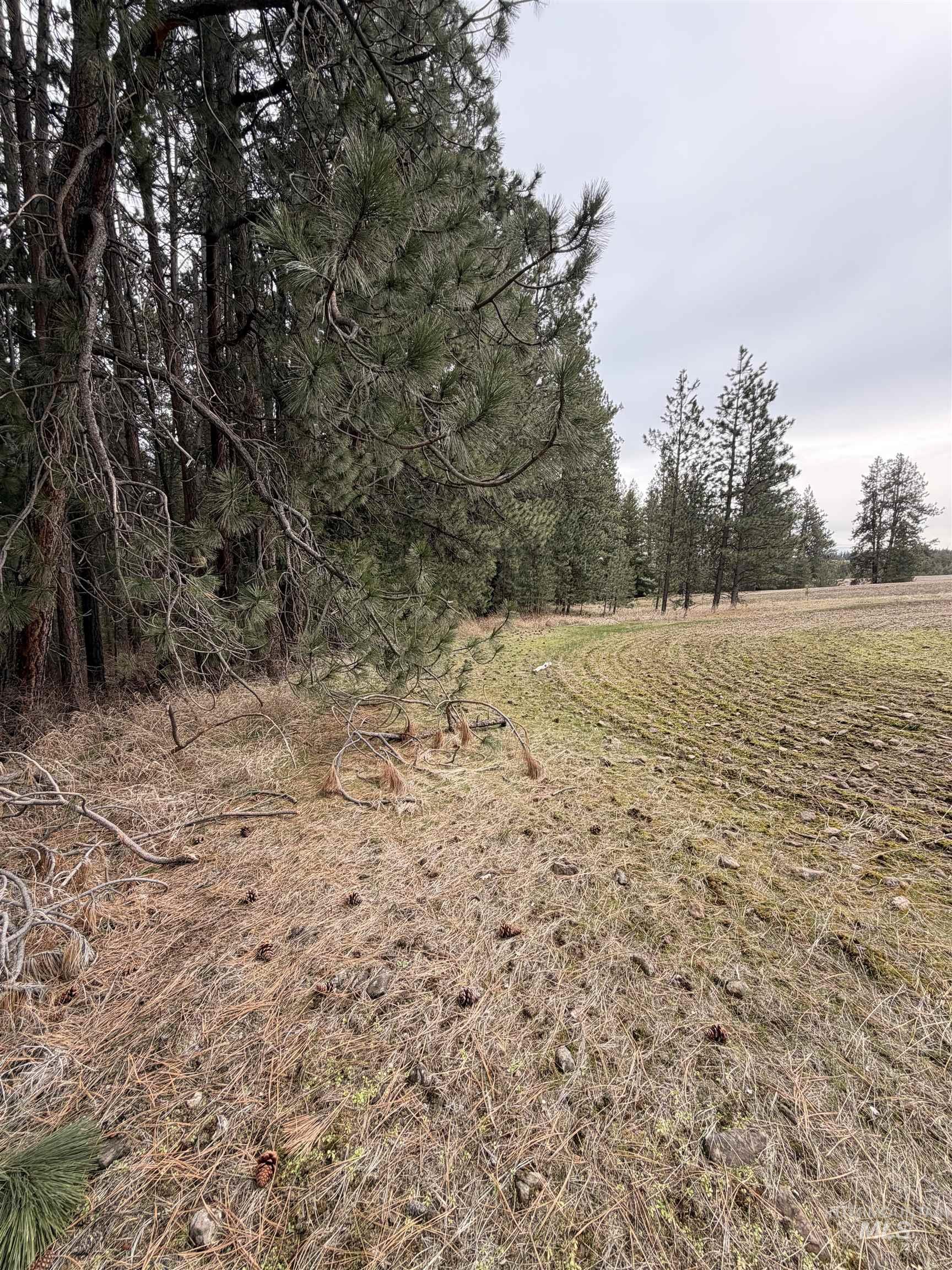 TBD SANDHILL RD, Winchester, Idaho 83555, Land For Sale, Price $265,000,MLS 98979540