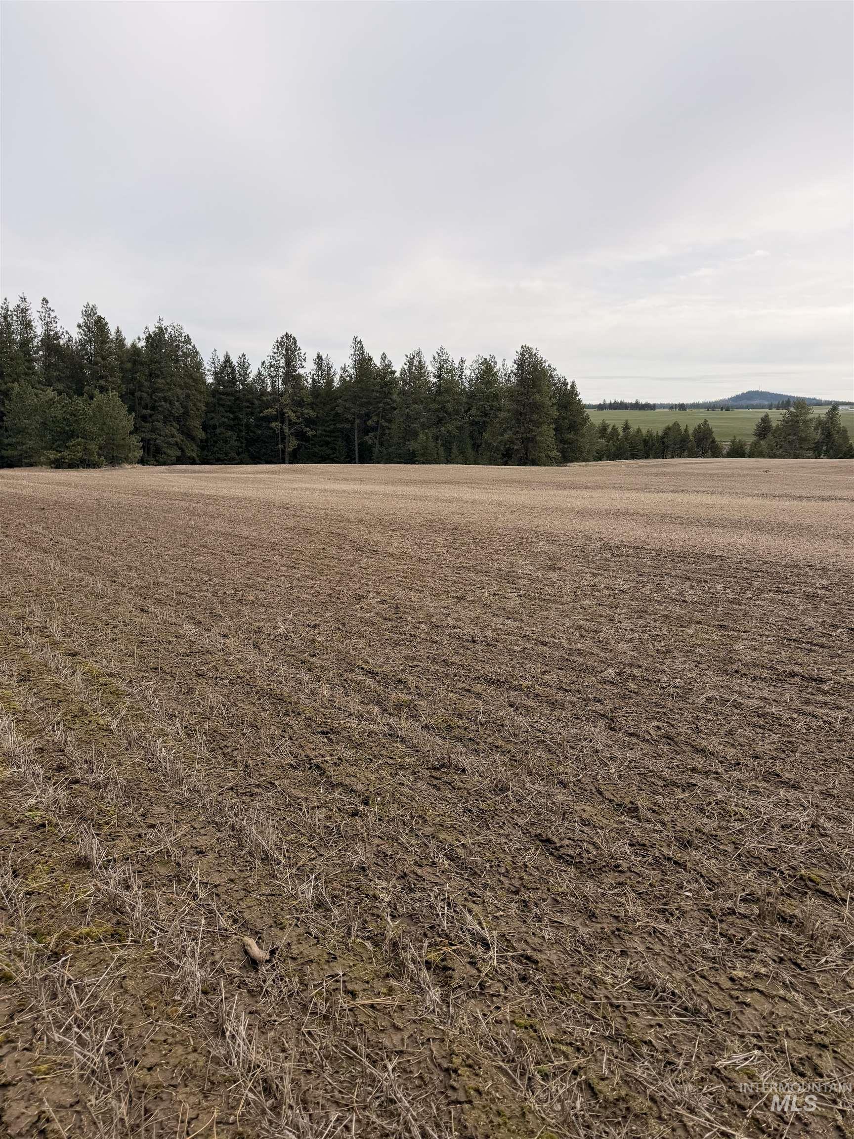 TBD SANDHILL RD, Winchester, Idaho 83555, Land For Sale, Price $265,000,MLS 98979540