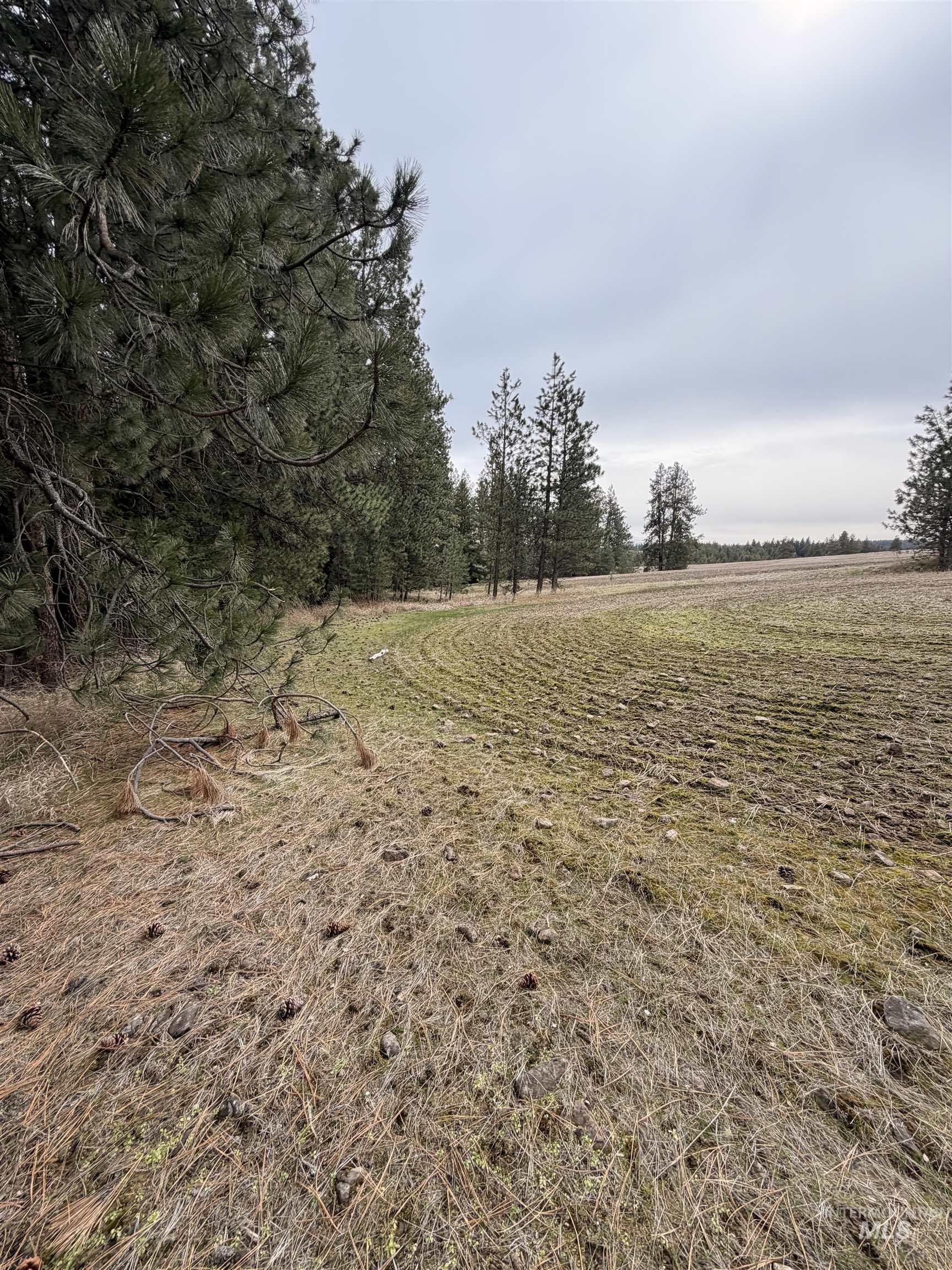 TBD SANDHILL RD, Winchester, Idaho 83555, Land For Sale, Price $265,000,MLS 98979540