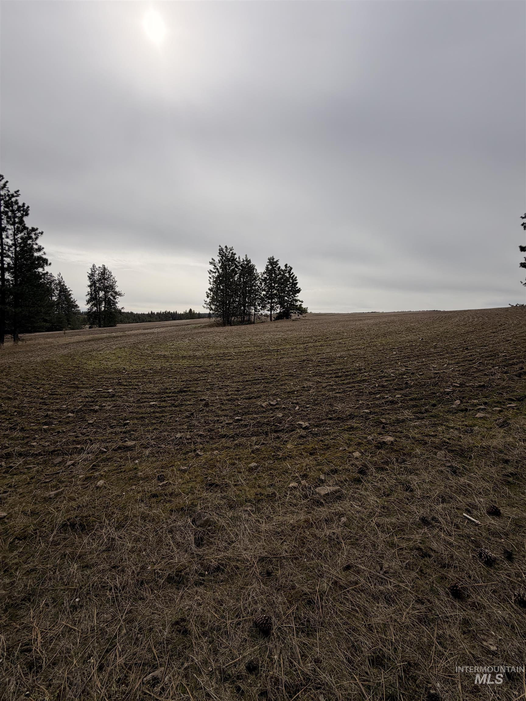 TBD SANDHILL RD, Winchester, Idaho 83555, Land For Sale, Price $265,000,MLS 98979540