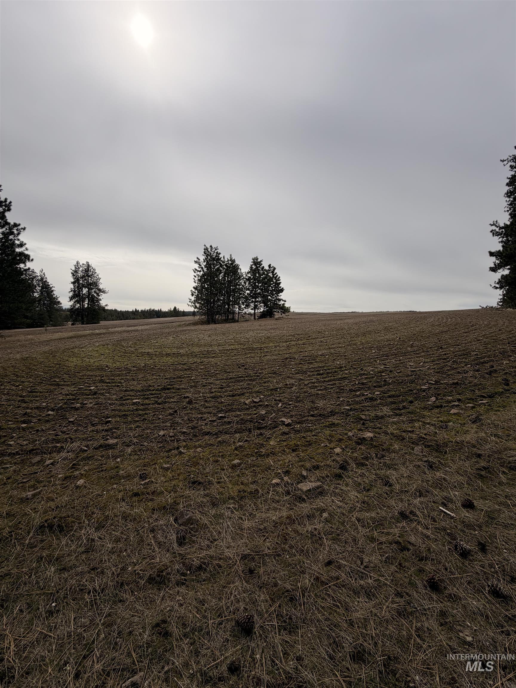 TBD SANDHILL RD, Winchester, Idaho 83555, Land For Sale, Price $265,000,MLS 98979540
