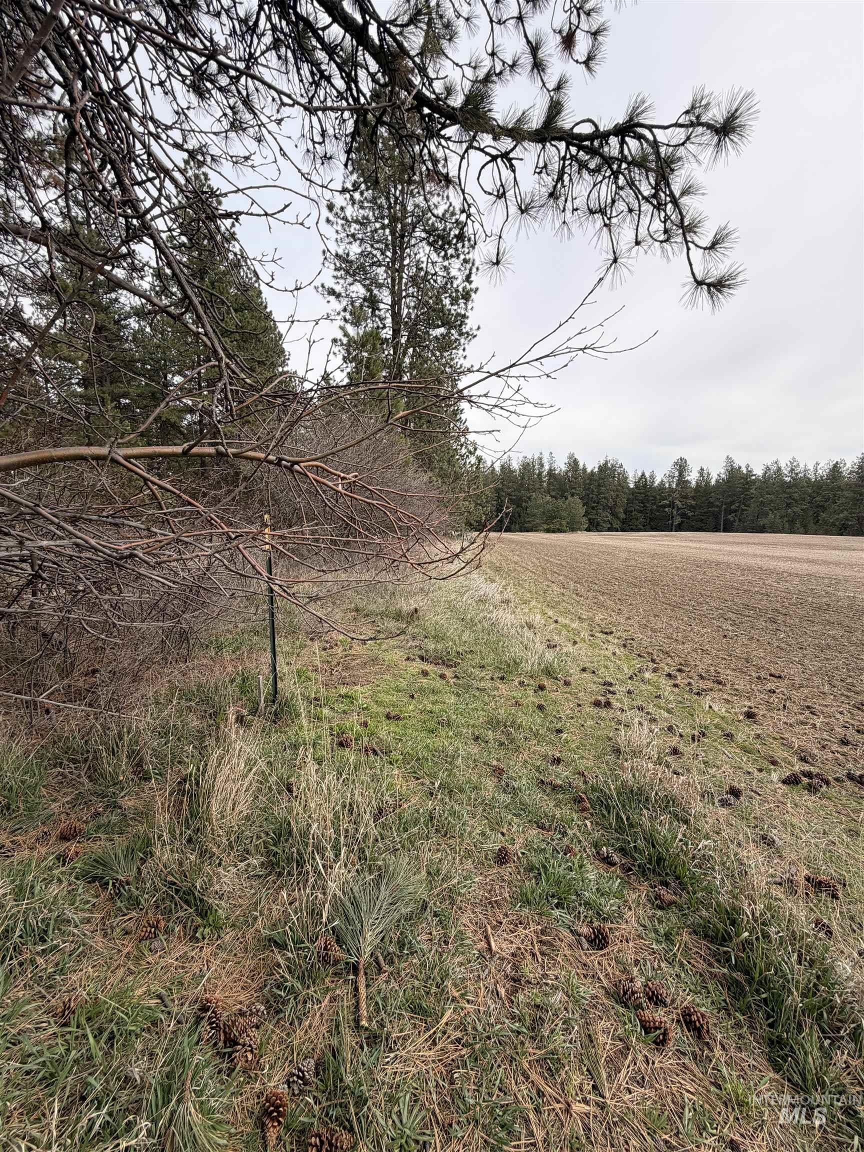 TBD SANDHILL RD, Winchester, Idaho 83555, Land For Sale, Price $265,000,MLS 98979540