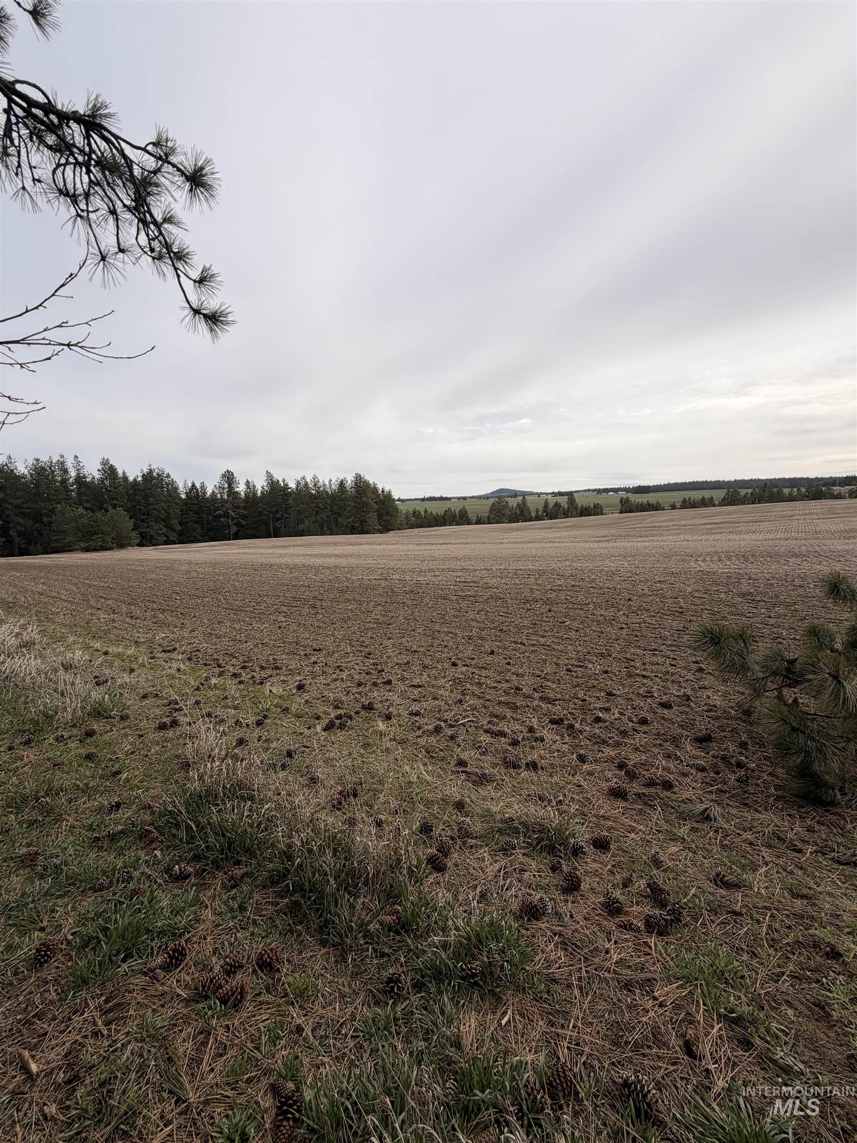 TBD SANDHILL RD, Winchester, Idaho 83555, Land For Sale, Price $265,000,MLS 98979540