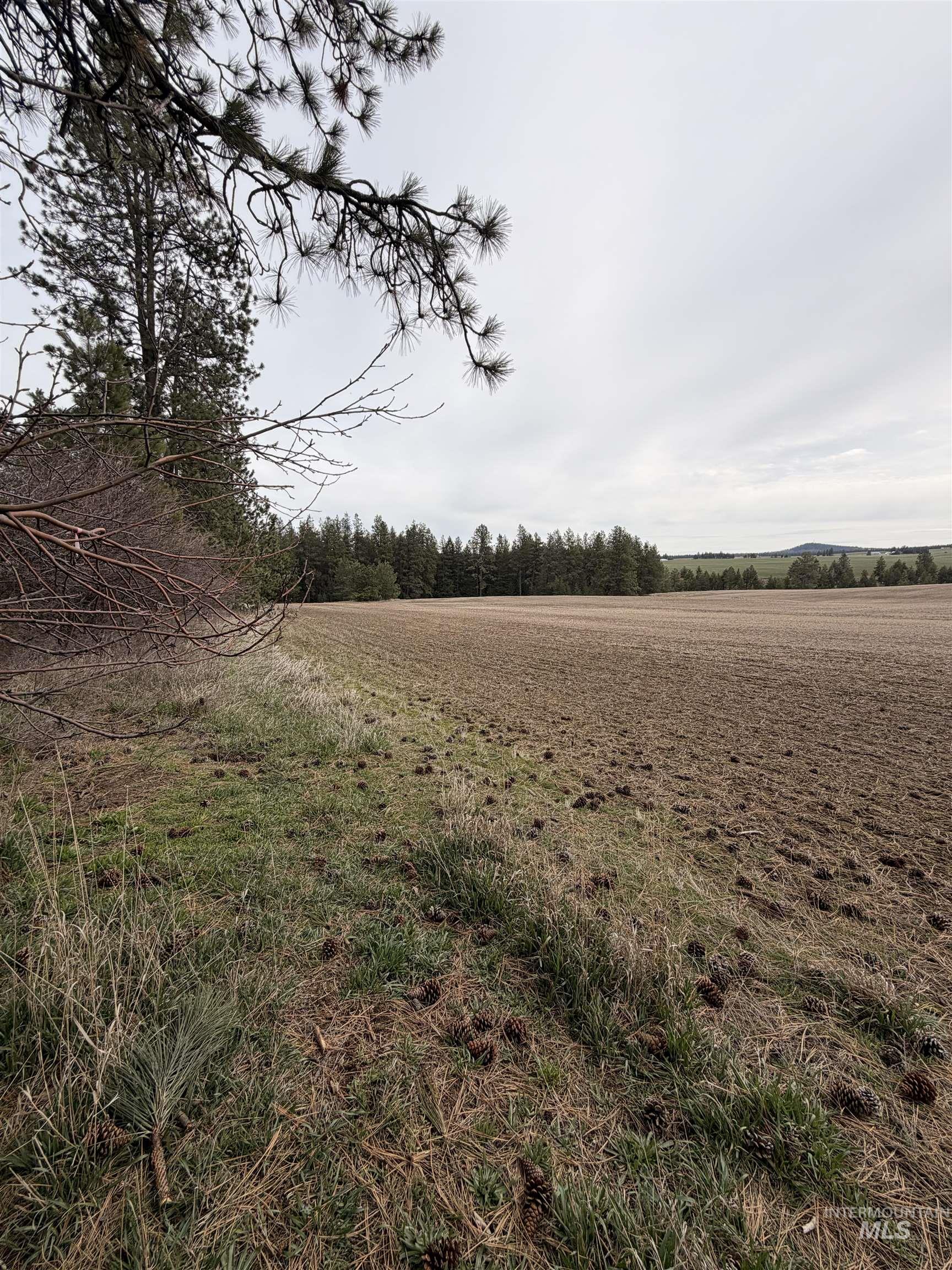 TBD SANDHILL RD, Winchester, Idaho 83555, Land For Sale, Price $265,000,MLS 98979540