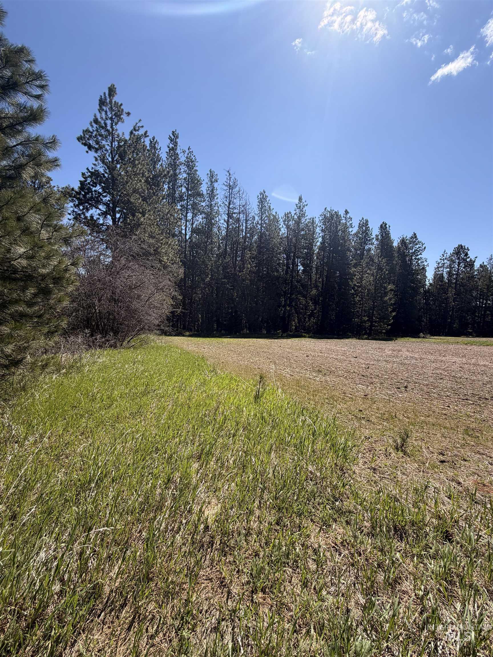 TBD SANDHILL RD, Winchester, Idaho 83555, Land For Sale, Price $255,000, 98979540