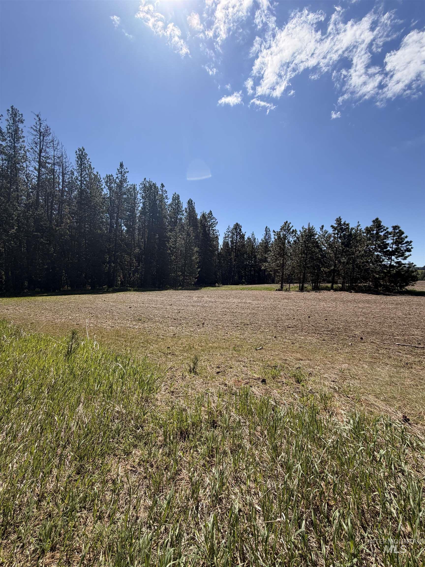 TBD SANDHILL RD, Winchester, Idaho 83555, Land For Sale, Price $255,000, 98979540