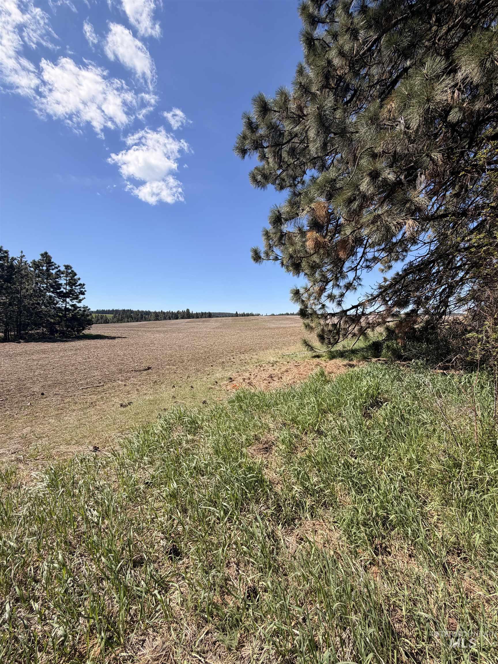 TBD SANDHILL RD, Winchester, Idaho 83555, Land For Sale, Price $255,000, 98979540
