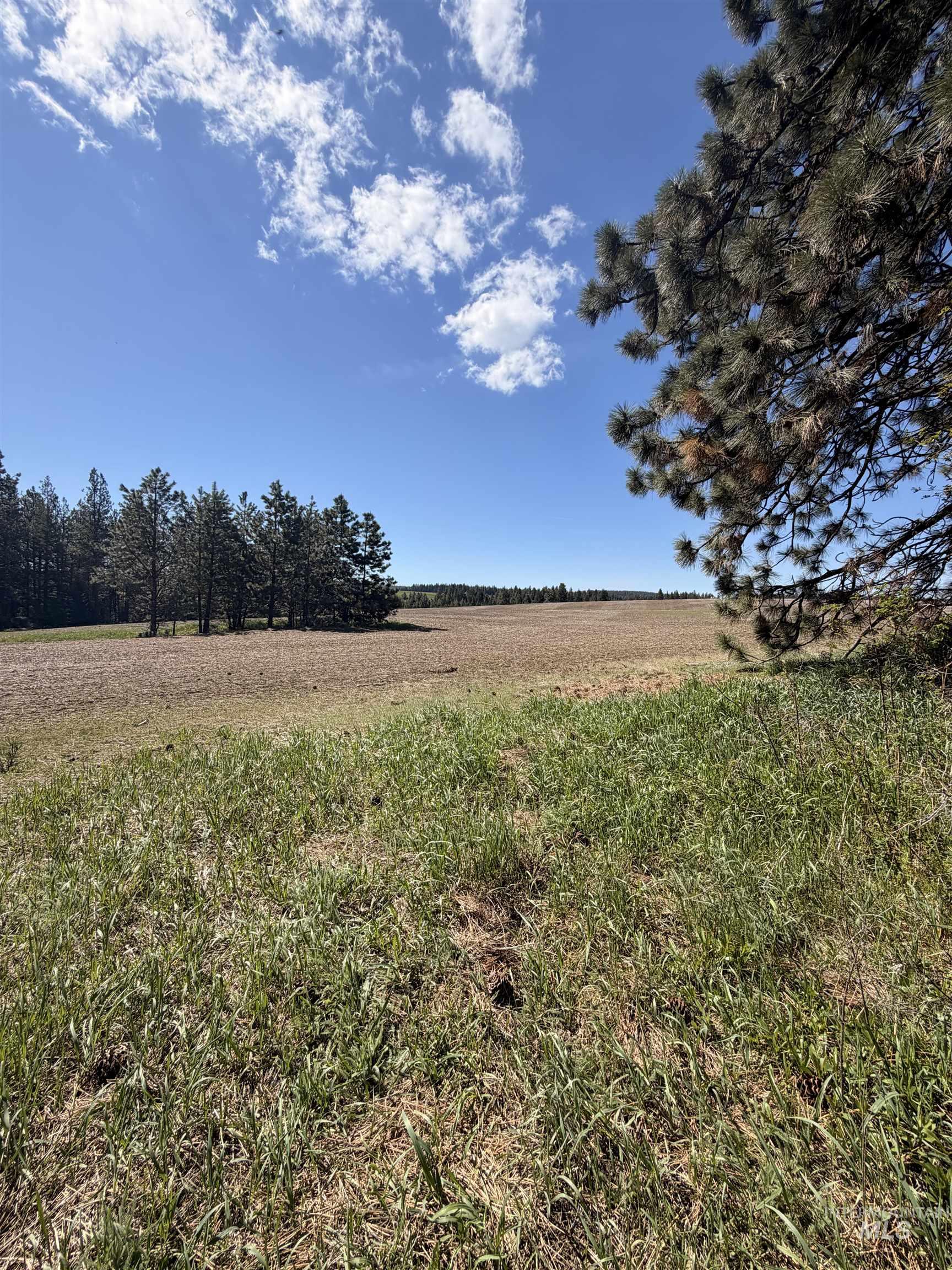 TBD SANDHILL RD, Winchester, Idaho 83555, Land For Sale, Price $255,000, 98979540