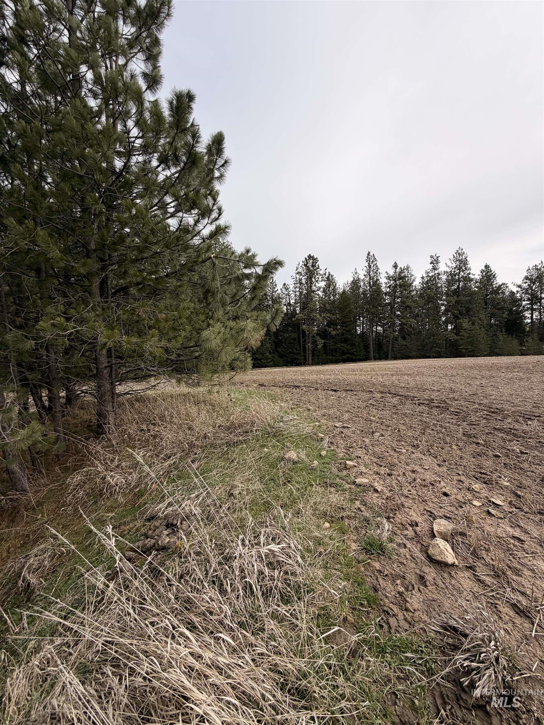 TBD SANDHILL RD, Winchester, Idaho 83555, Land For Sale, Price $265,000,MLS 98979540