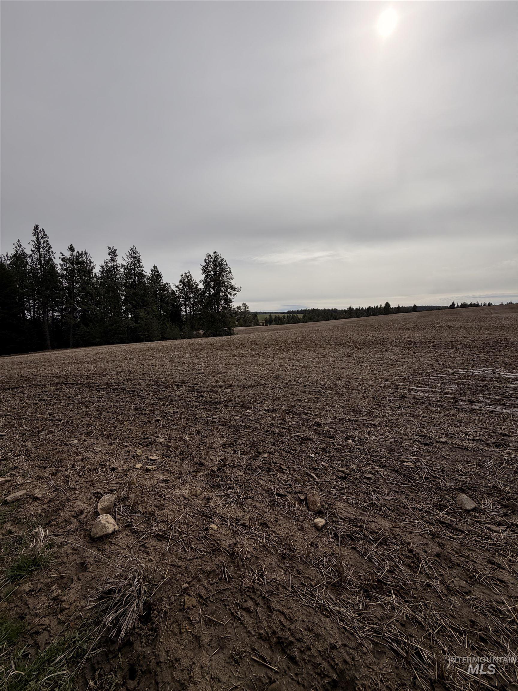 TBD SANDHILL RD, Winchester, Idaho 83555, Land For Sale, Price $265,000,MLS 98979540