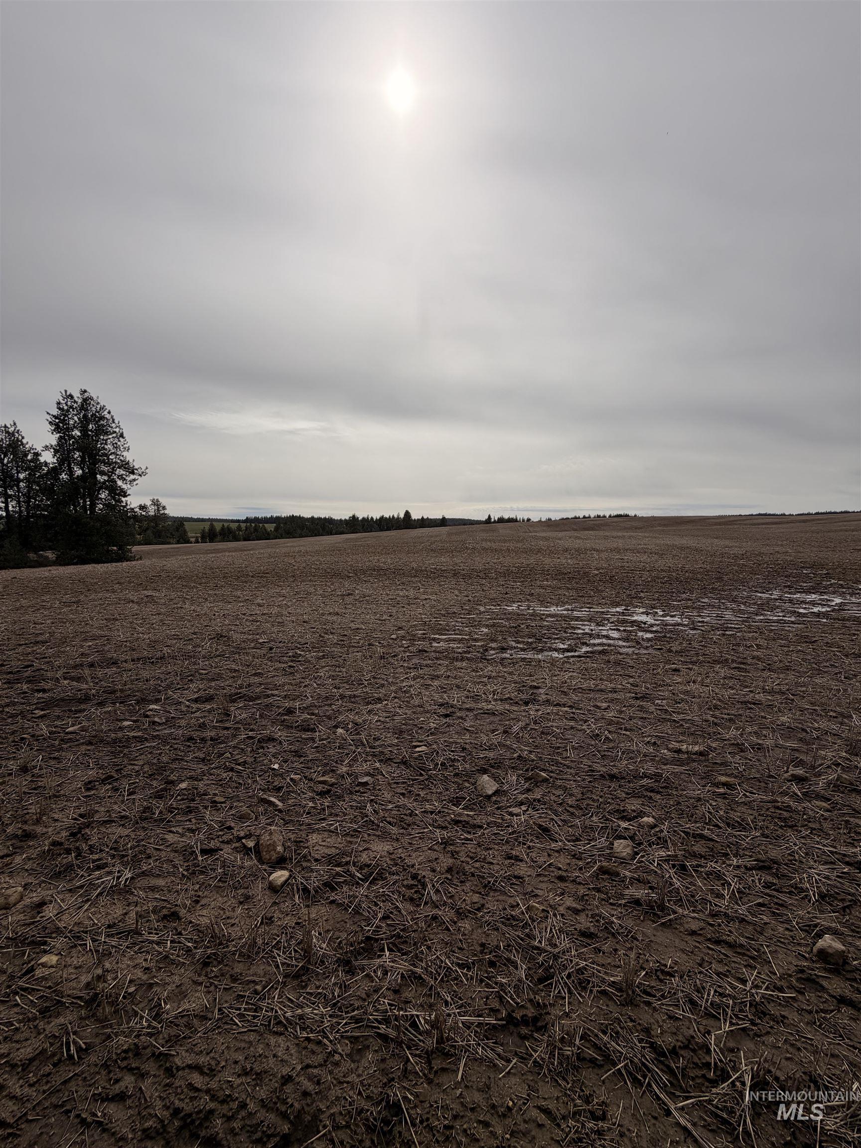 TBD SANDHILL RD, Winchester, Idaho 83555, Land For Sale, Price $265,000,MLS 98979540