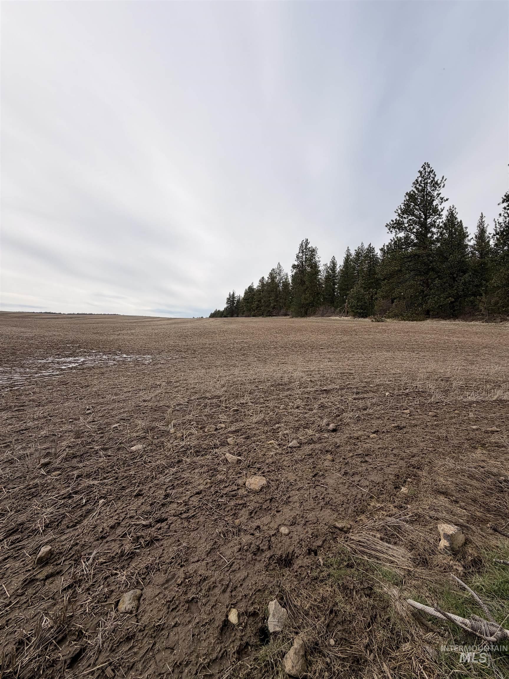 TBD SANDHILL RD, Winchester, Idaho 83555, Land For Sale, Price $265,000,MLS 98979540