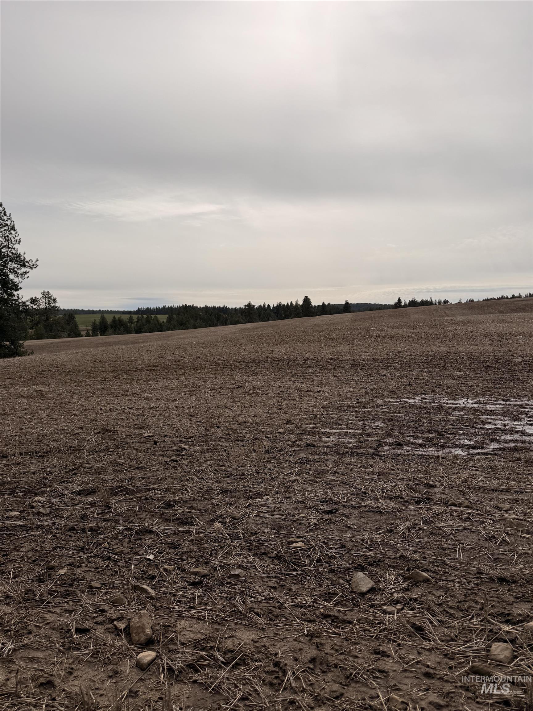 TBD SANDHILL RD, Winchester, Idaho 83555, Land For Sale, Price $265,000,MLS 98979540