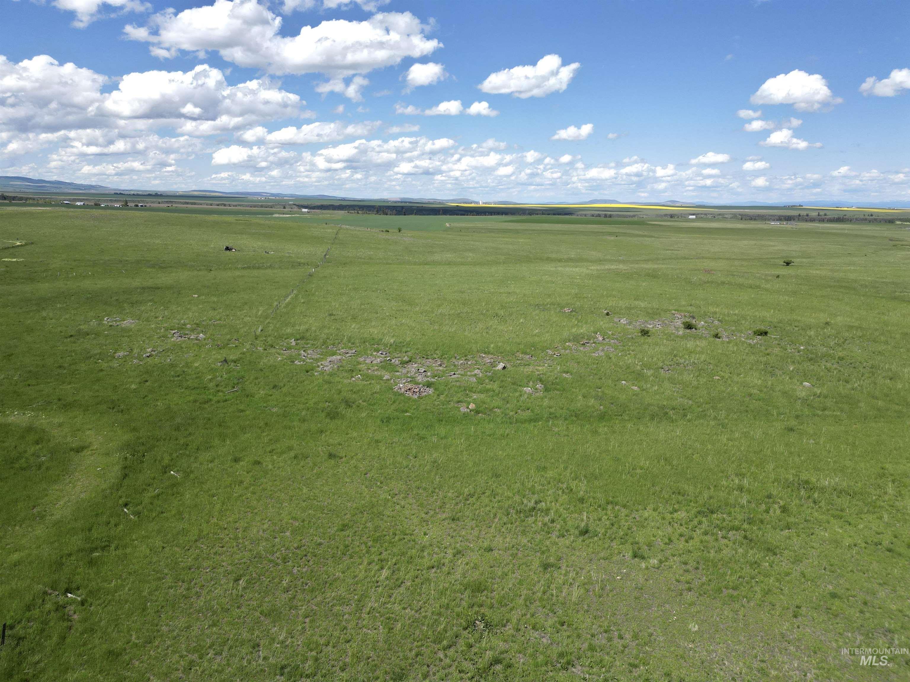 Lot 5 Gill Point Road, Grangeville, Idaho 83530, Land For Sale, Price $129,000, 98979543