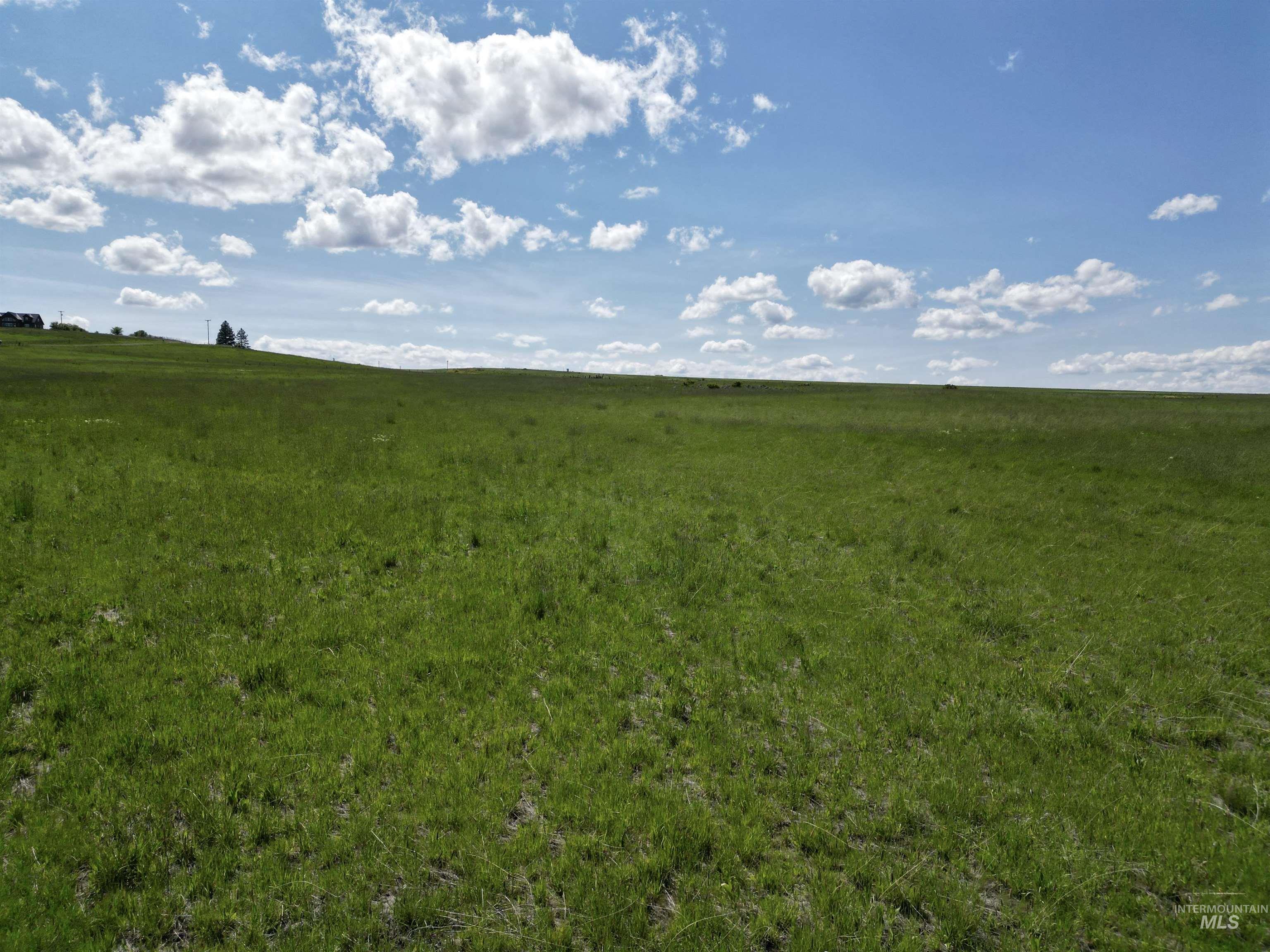 Lot 5 Gill Point Road, Grangeville, Idaho 83530, Land For Sale, Price $129,000,MLS 98979543