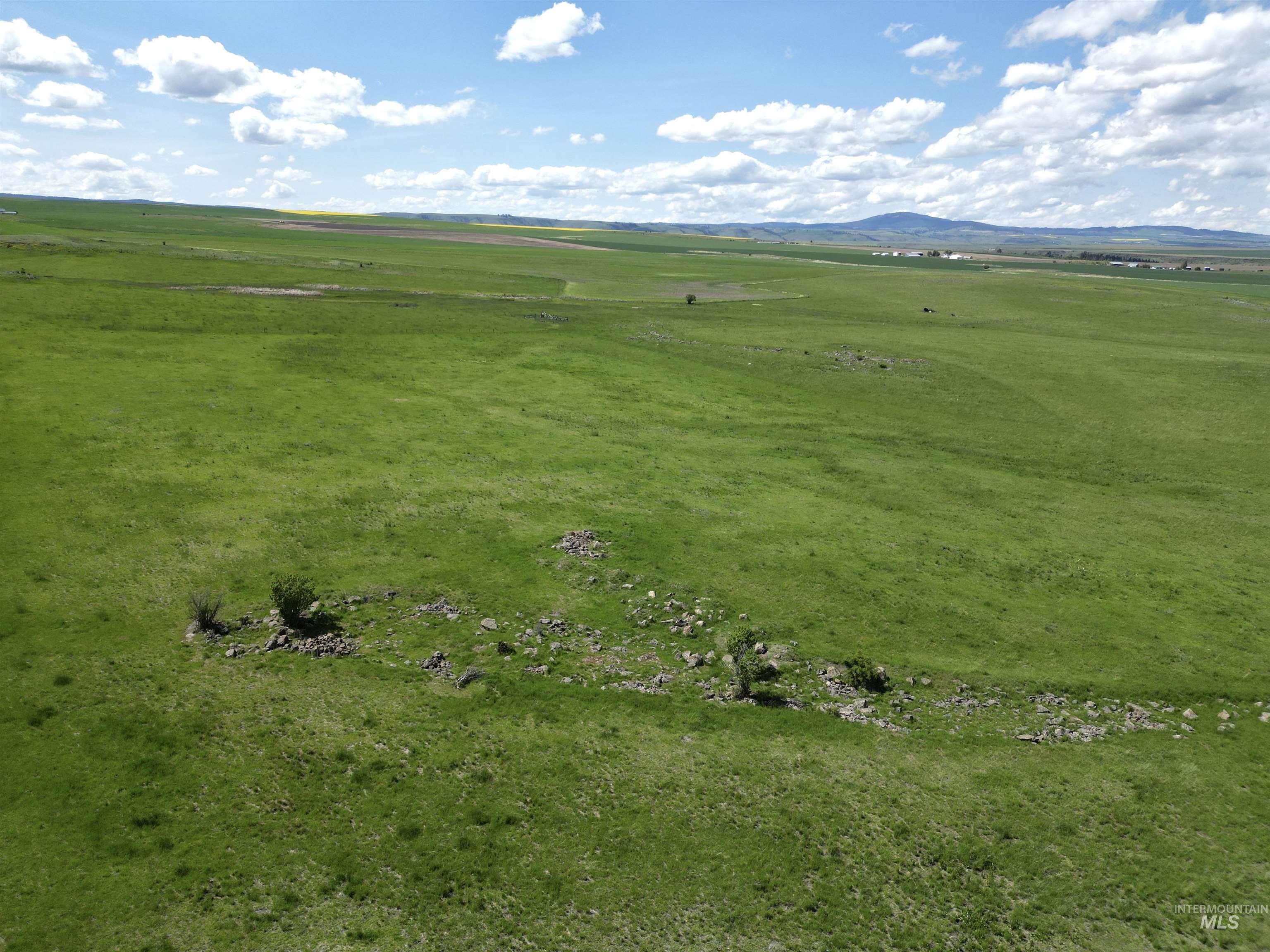 Lot 5 Gill Point Road, Grangeville, Idaho 83530, Land For Sale, Price $129,000, 98979543