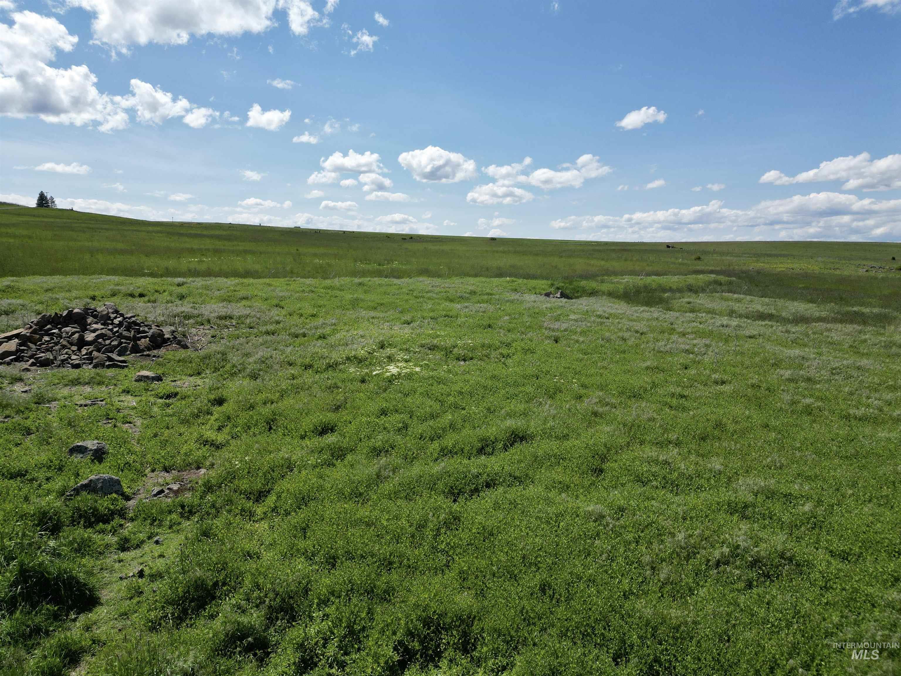 Lot 5 Gill Point Road, Grangeville, Idaho 83530, Land For Sale, Price $129,000,MLS 98979543