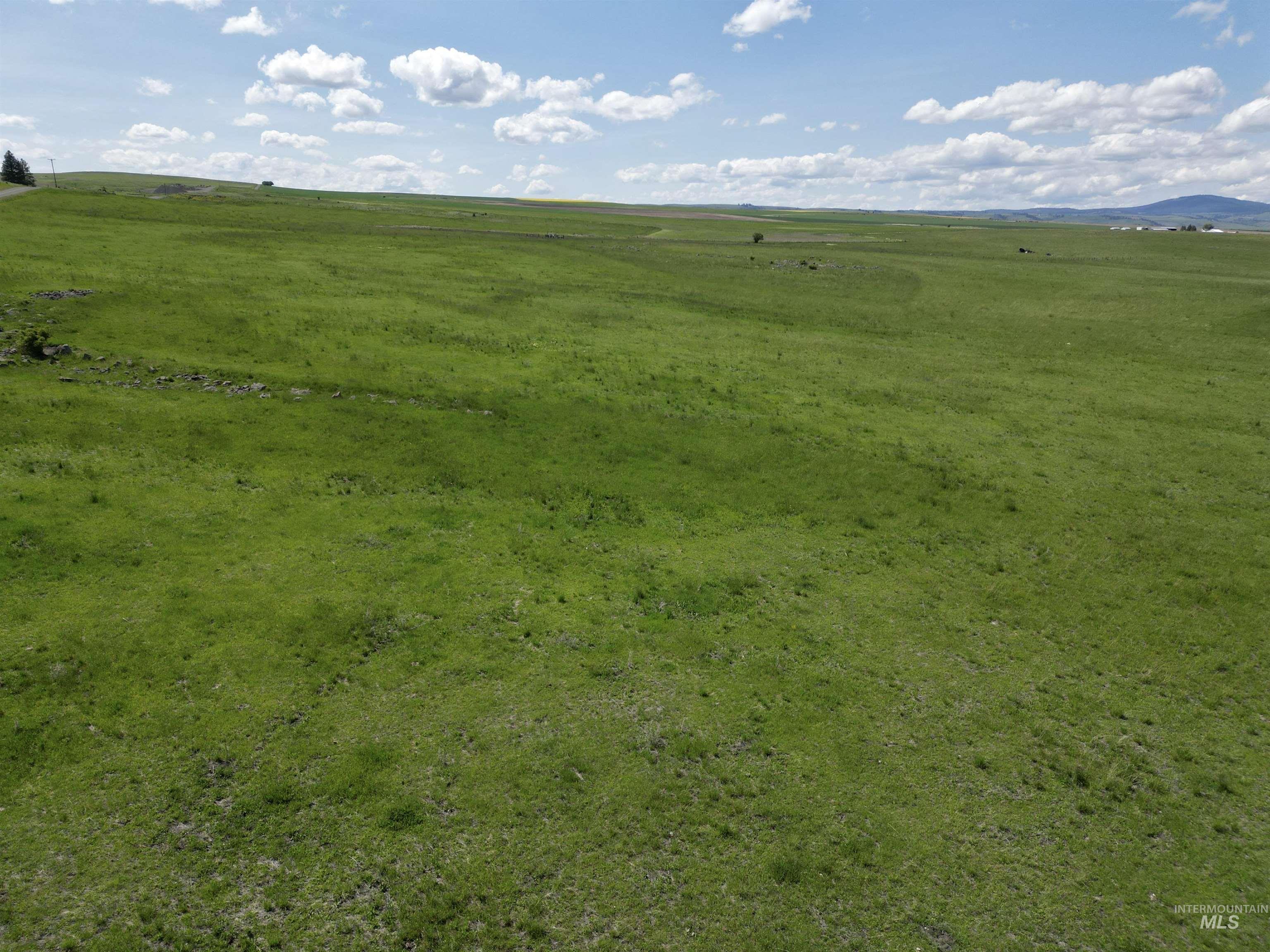 Lot 5 Gill Point Road, Grangeville, Idaho 83530, Land For Sale, Price $129,000,MLS 98979543