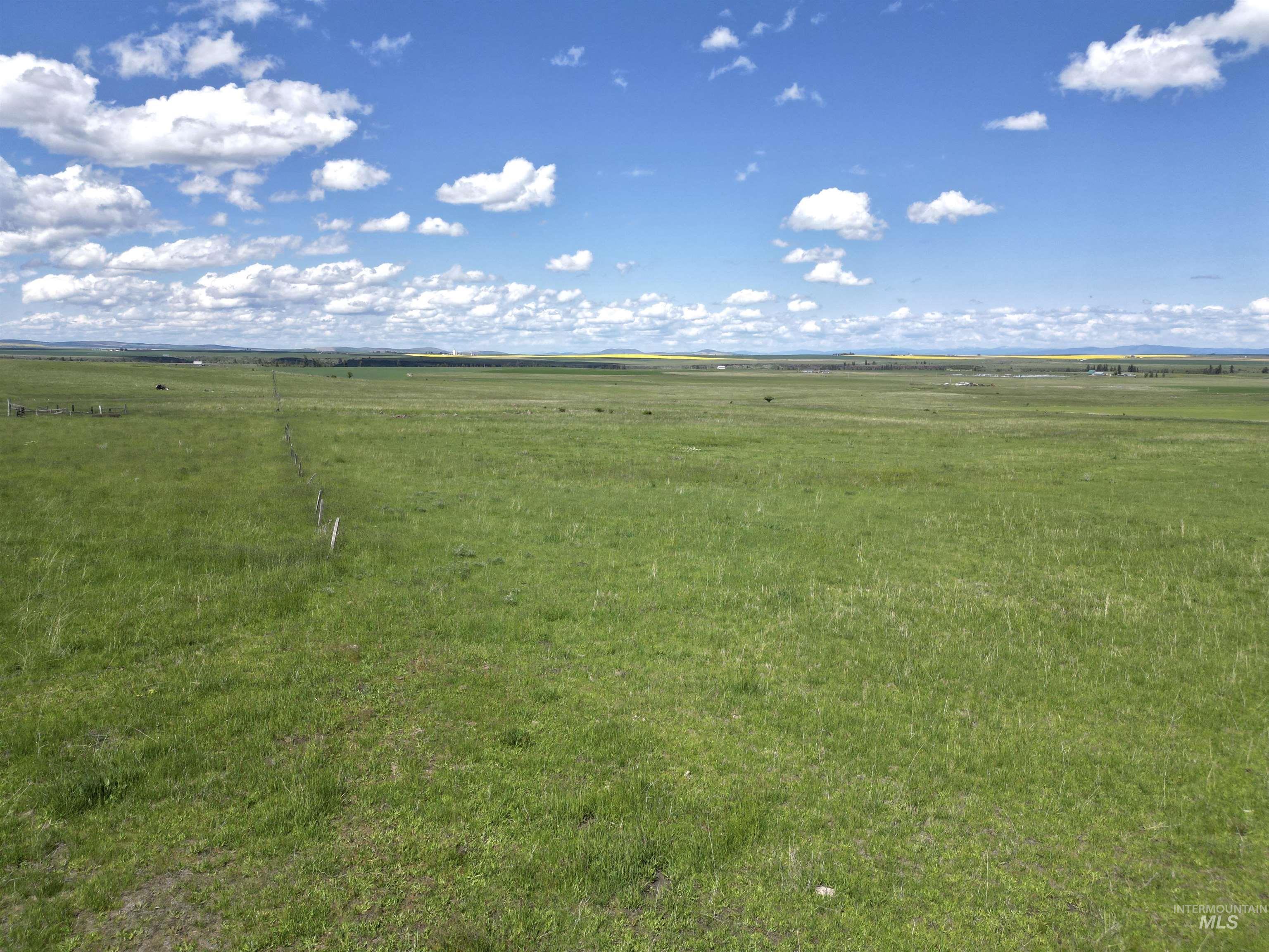 Lot 5 Gill Point Road, Grangeville, Idaho 83530, Land For Sale, Price $129,000, 98979543