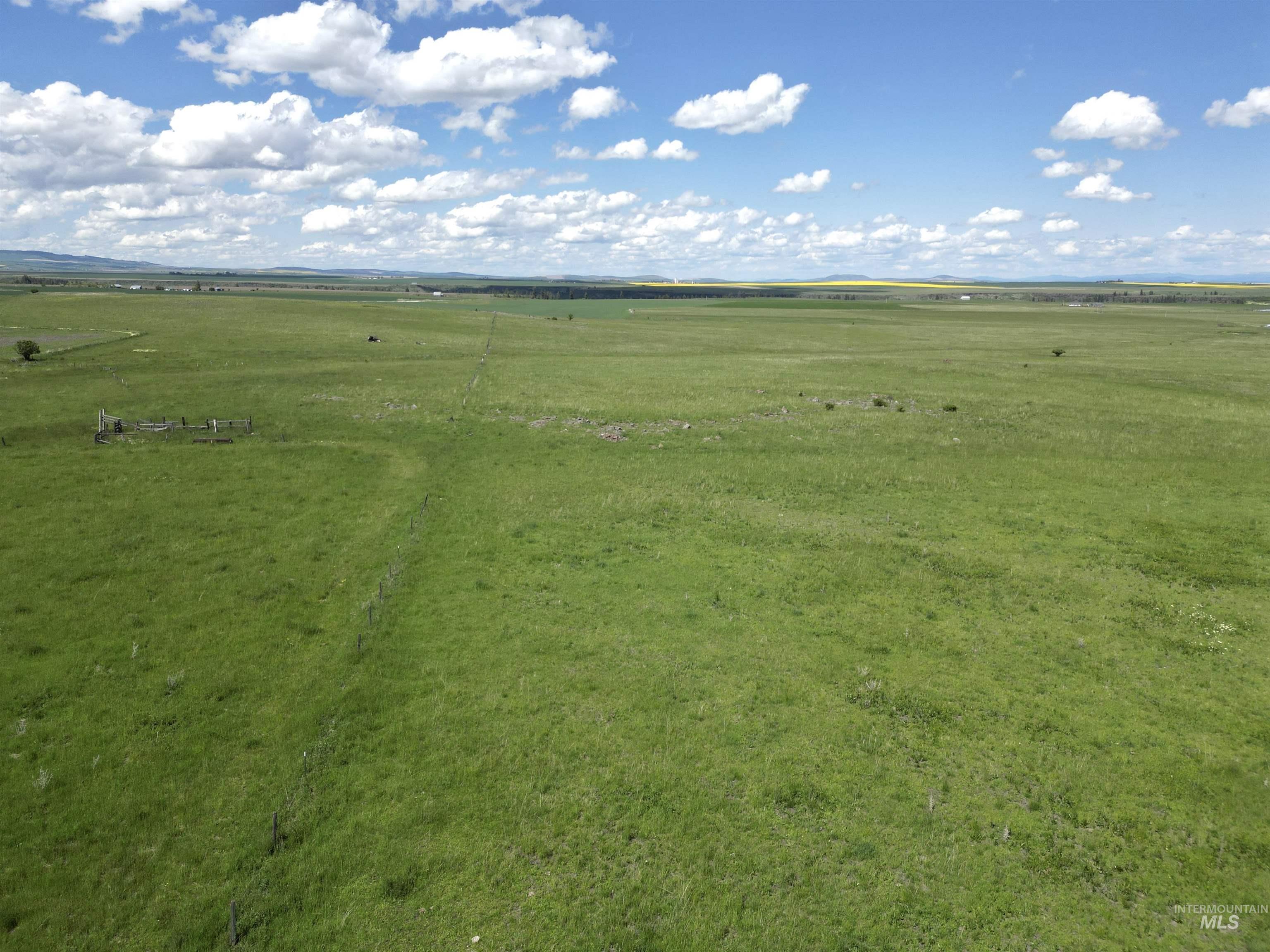 Lot 5 Gill Point Road, Grangeville, Idaho 83530, Land For Sale, Price $129,000, 98979543