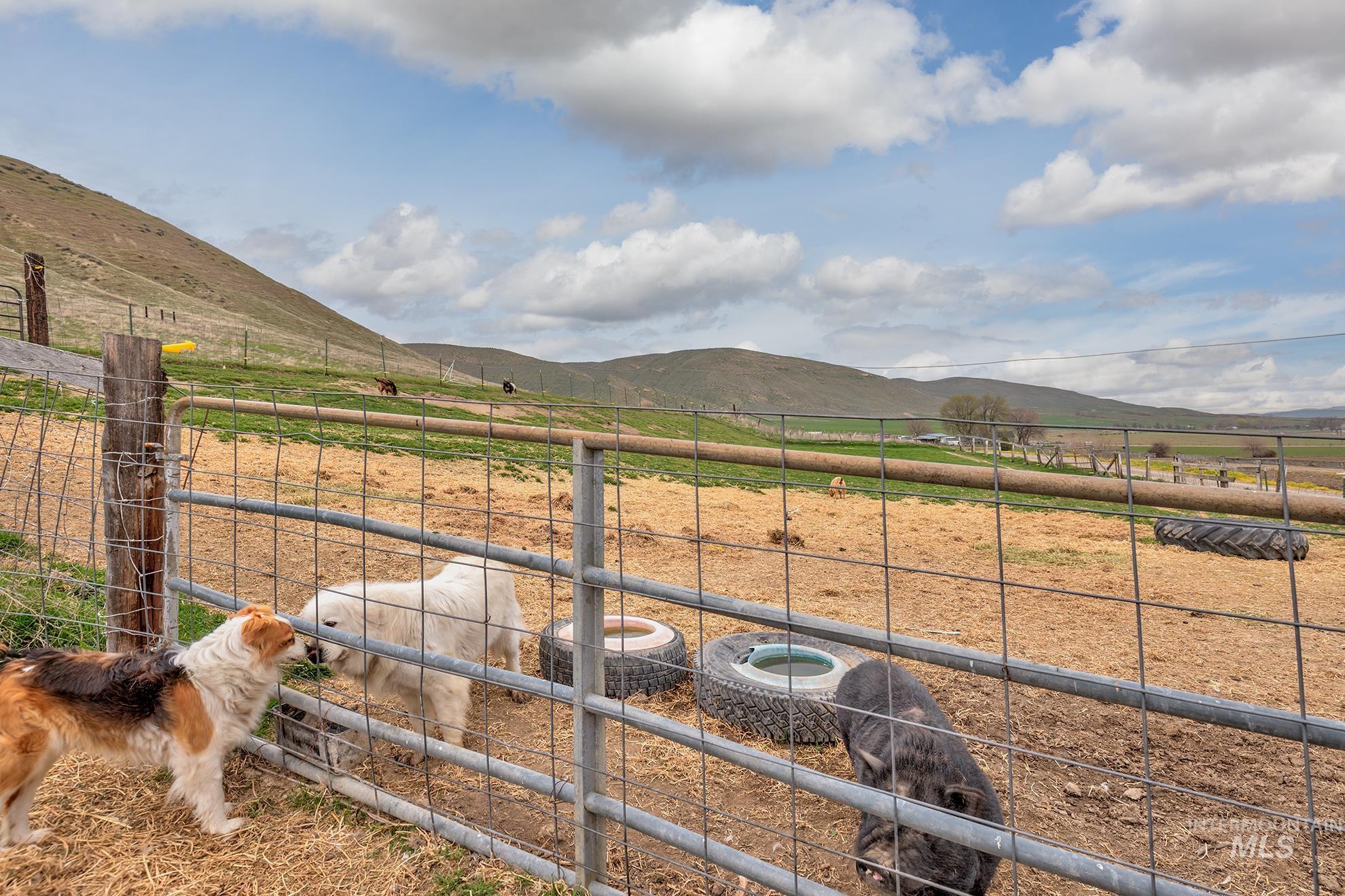 1492 Weiser River Road, Weiser, Idaho 83672, 3 Bedrooms, 2 Bathrooms, Residential For Sale, Price $489,000,MLS 98979567