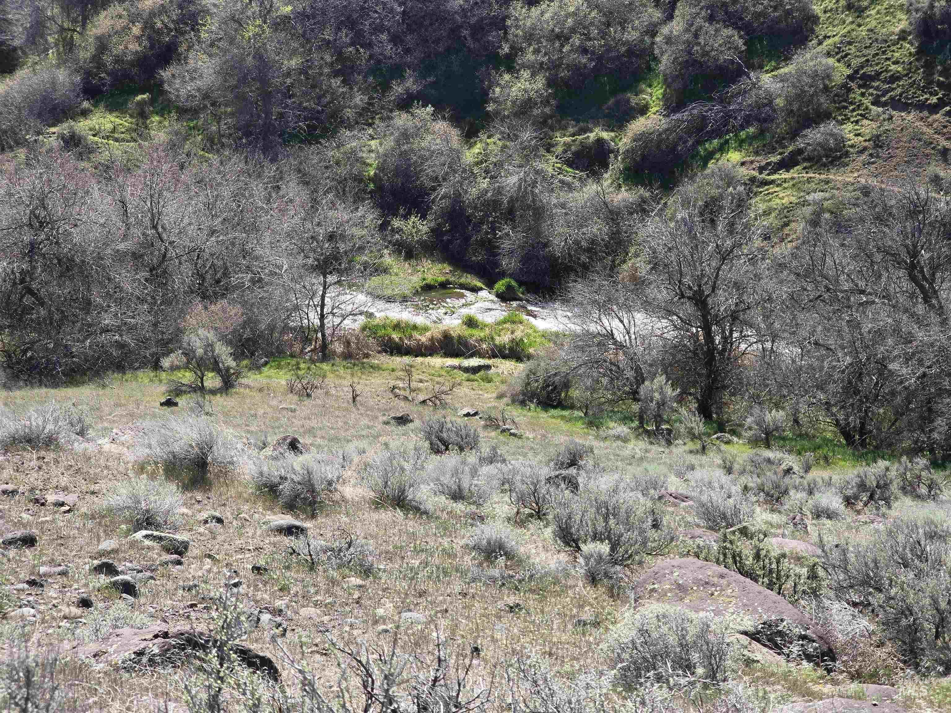 1253 Kanaka Rapids Road, Buhl, Idaho 83316, Land For Sale, Price $375,000,MLS 98979594