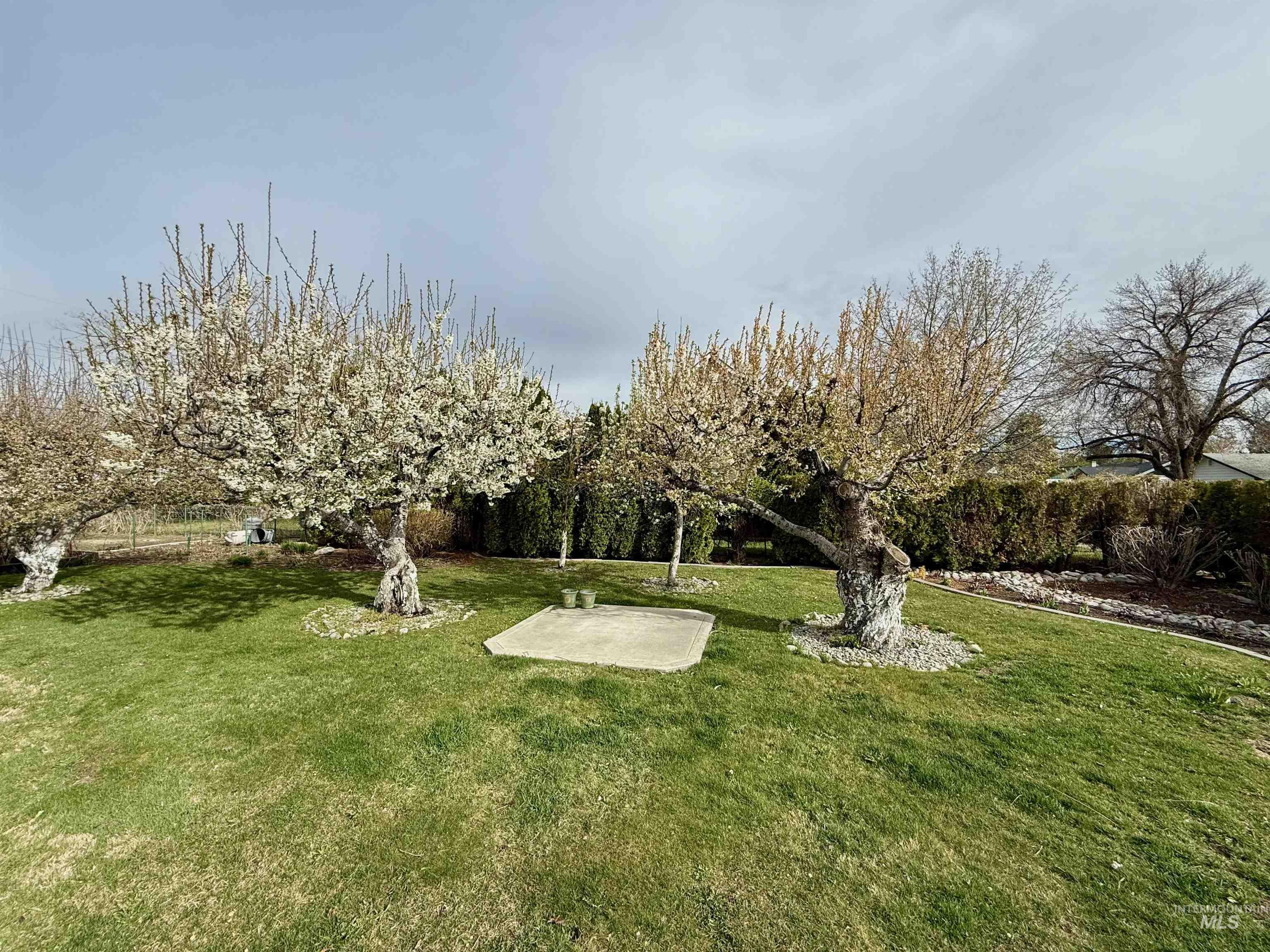 331 Fillmore Street, Twin Falls, Idaho 83301, 4 Bedrooms, 2 Bathrooms, Residential For Sale, Price $509,900, 98979620