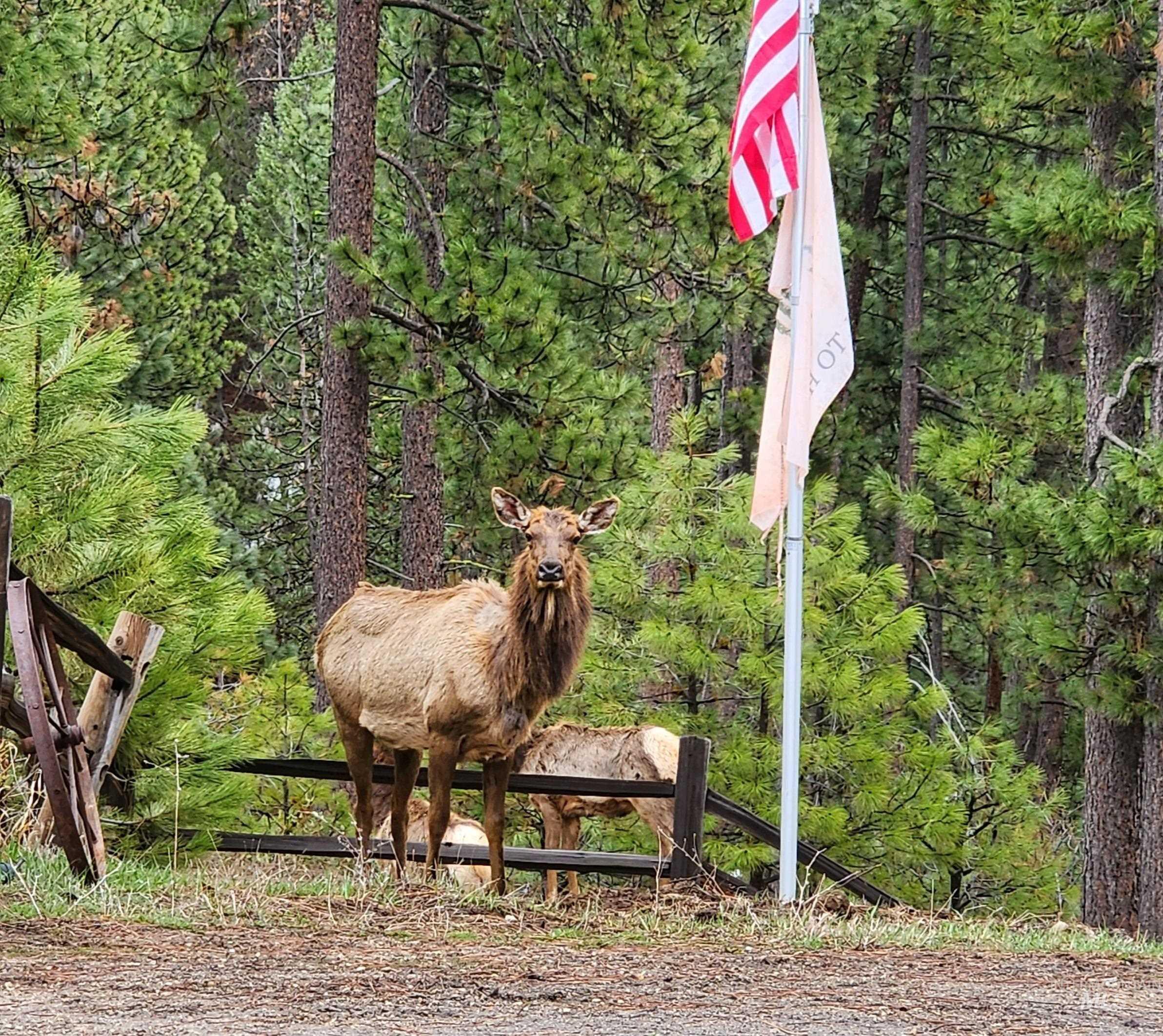 27 PARK LANE, Boise, Idaho 83716, 3 Bedrooms, 3 Bathrooms, Residential For Sale, Price $699,900, 98979623